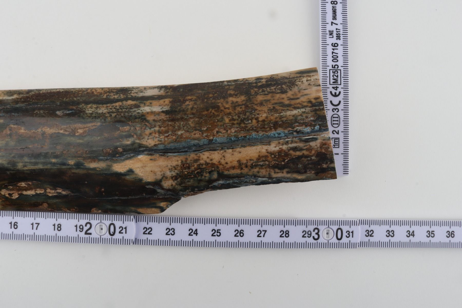 Natural woolly mammoth bark