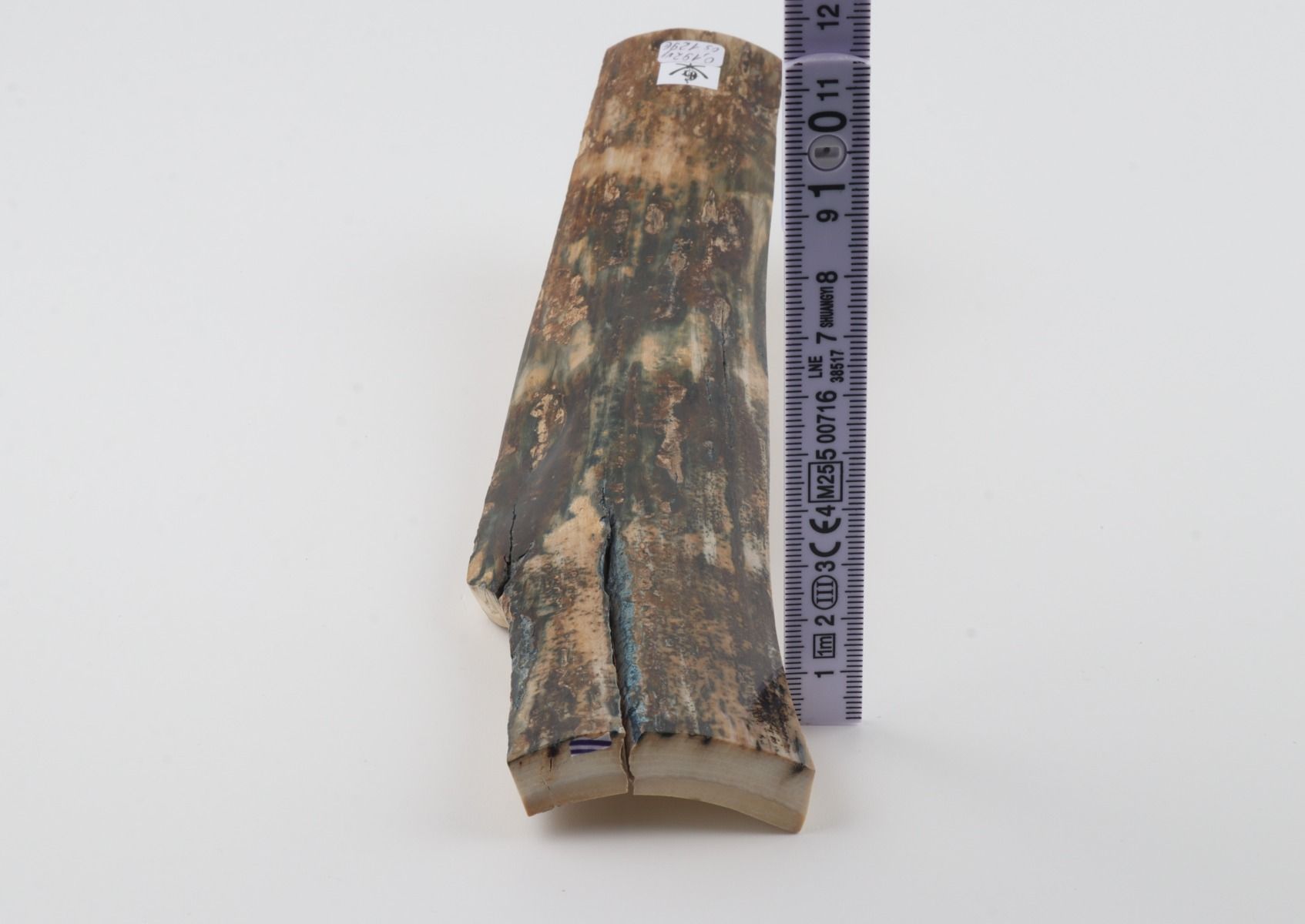 Natural woolly mammoth bark