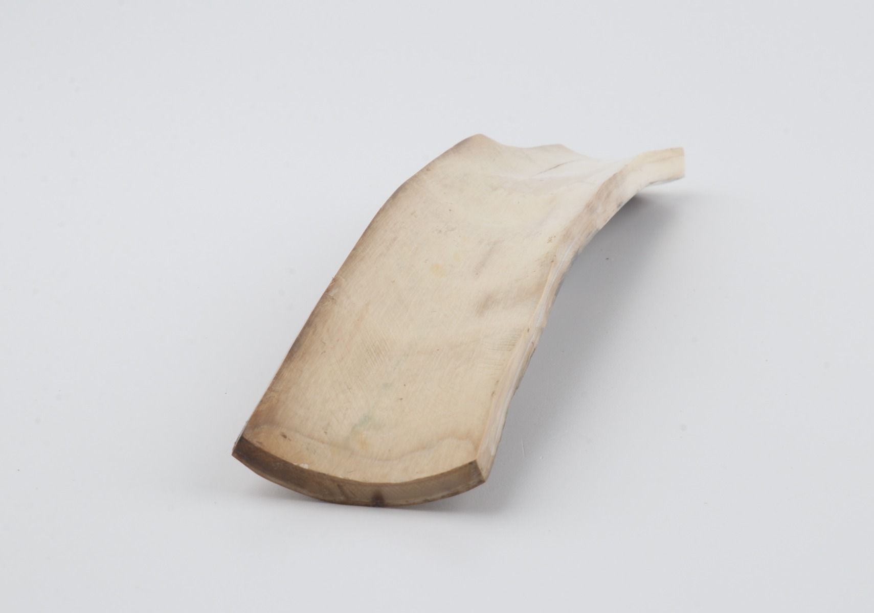 Natural woolly mammoth bark