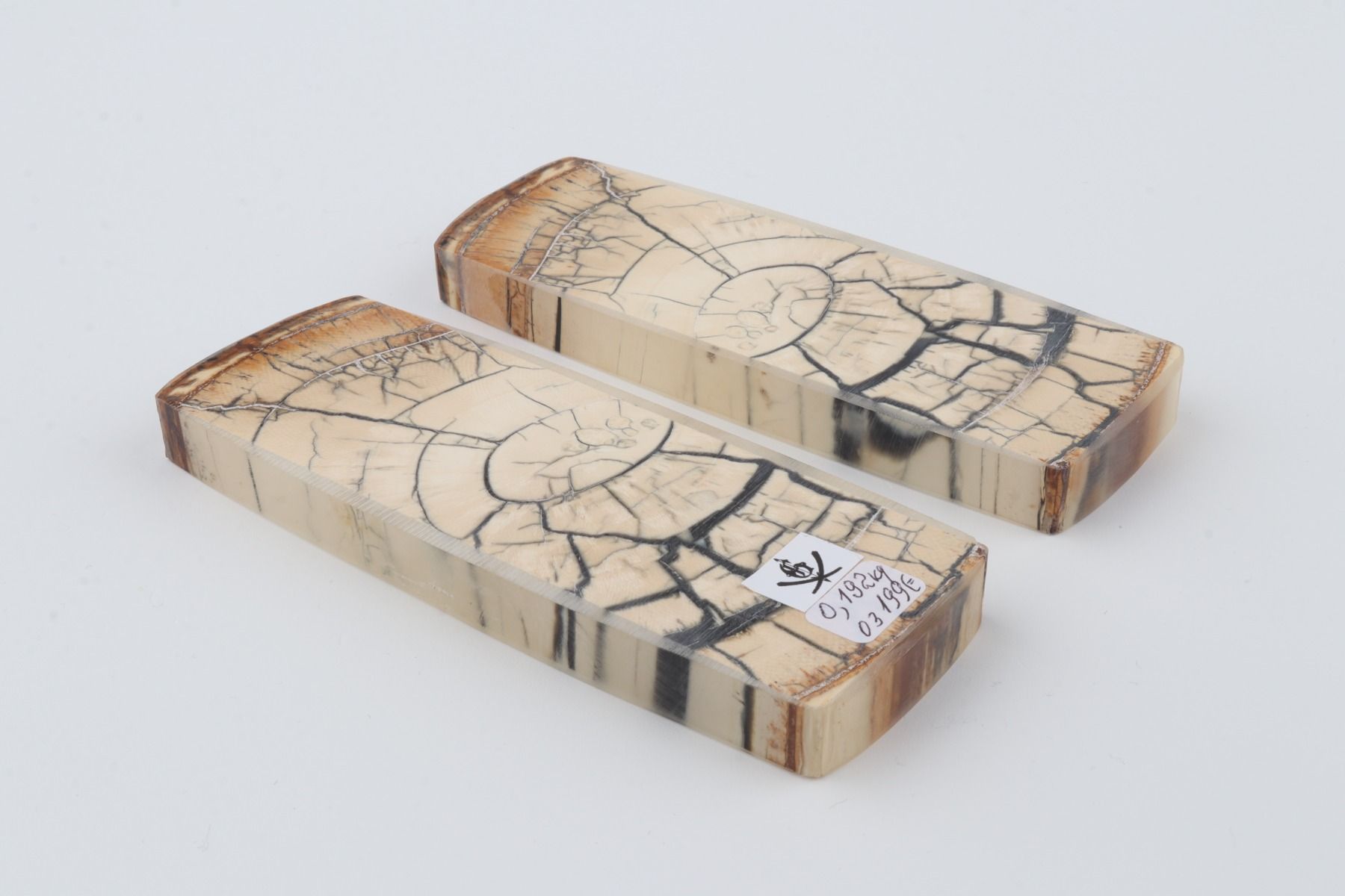 Stabilised mammoth ivory scales