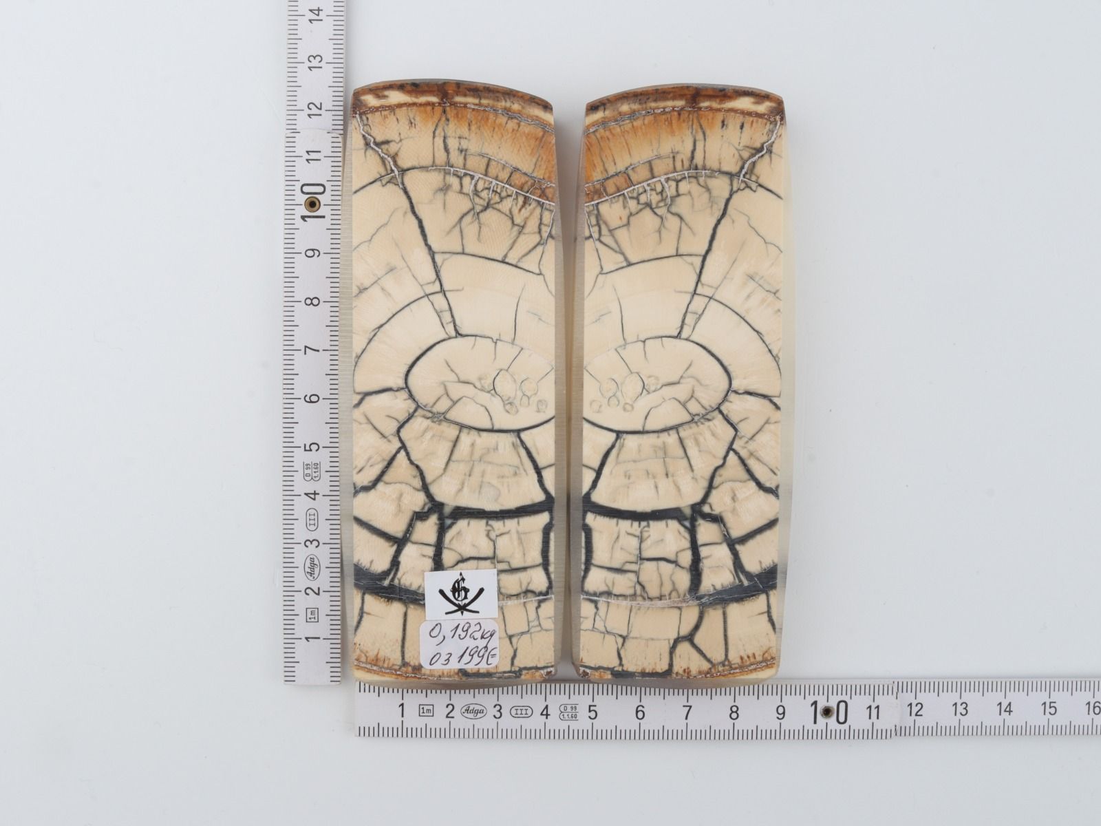 Stabilised mammoth ivory scales