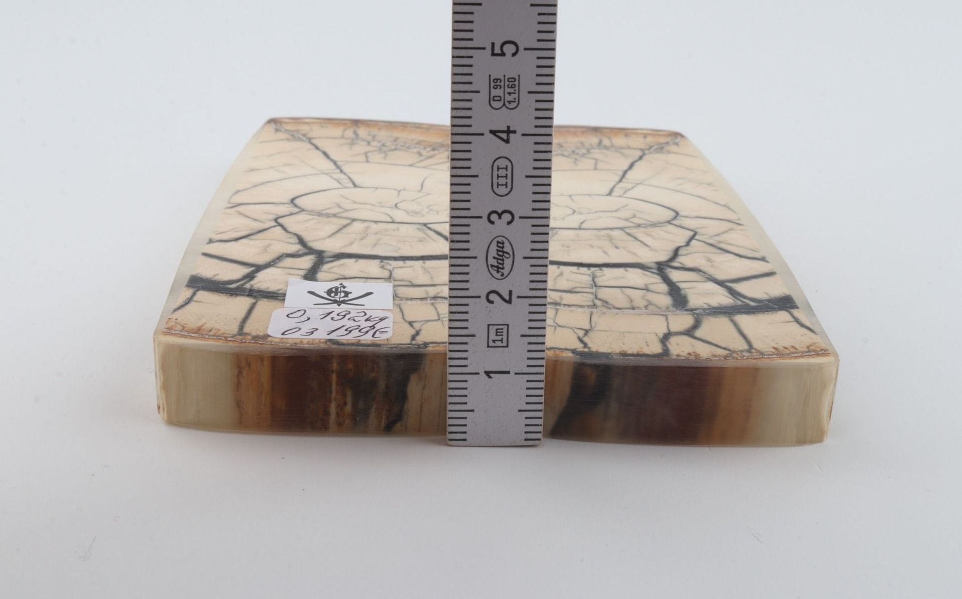 Stabilised mammoth ivory scales