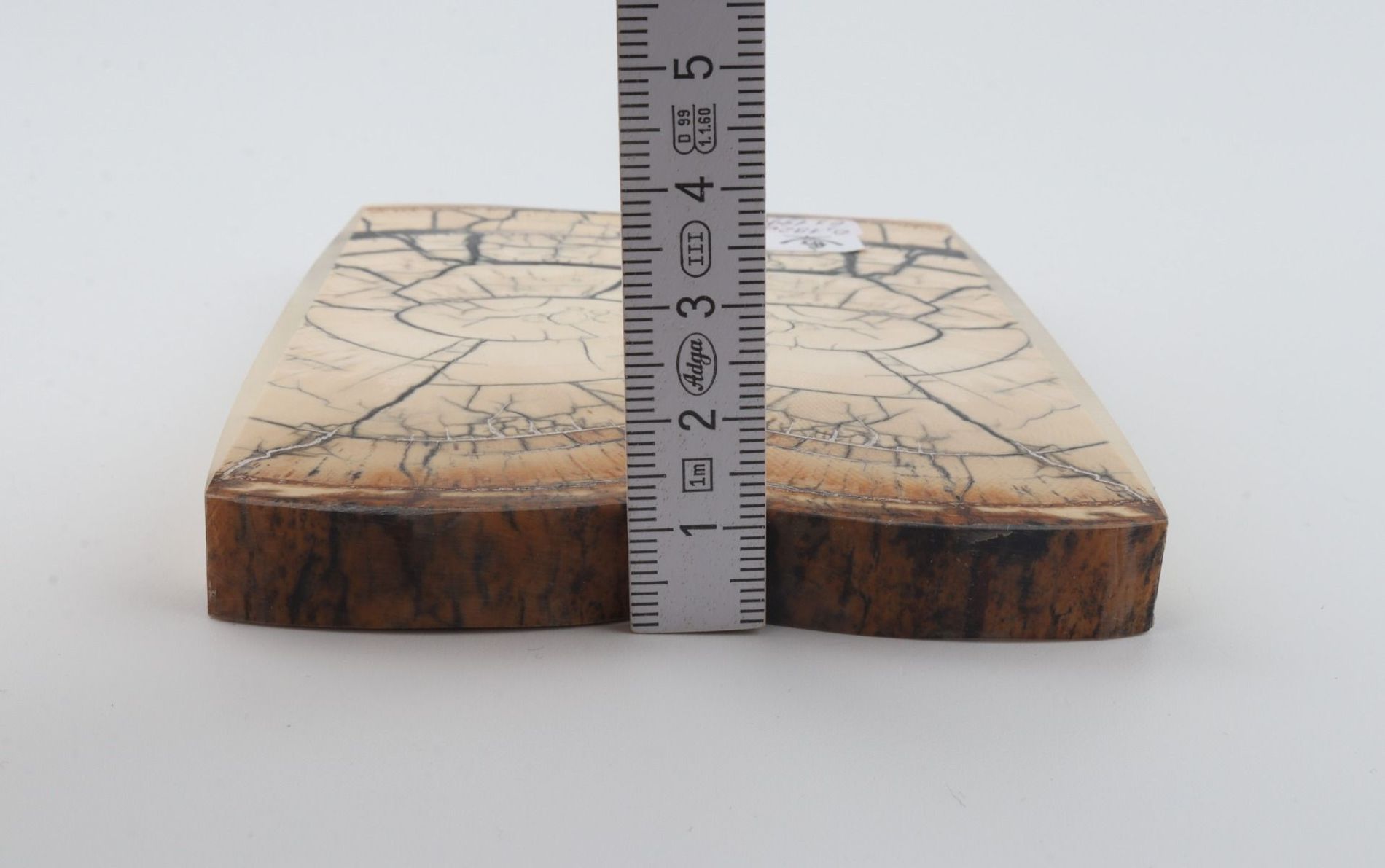 Stabilised mammoth ivory scales