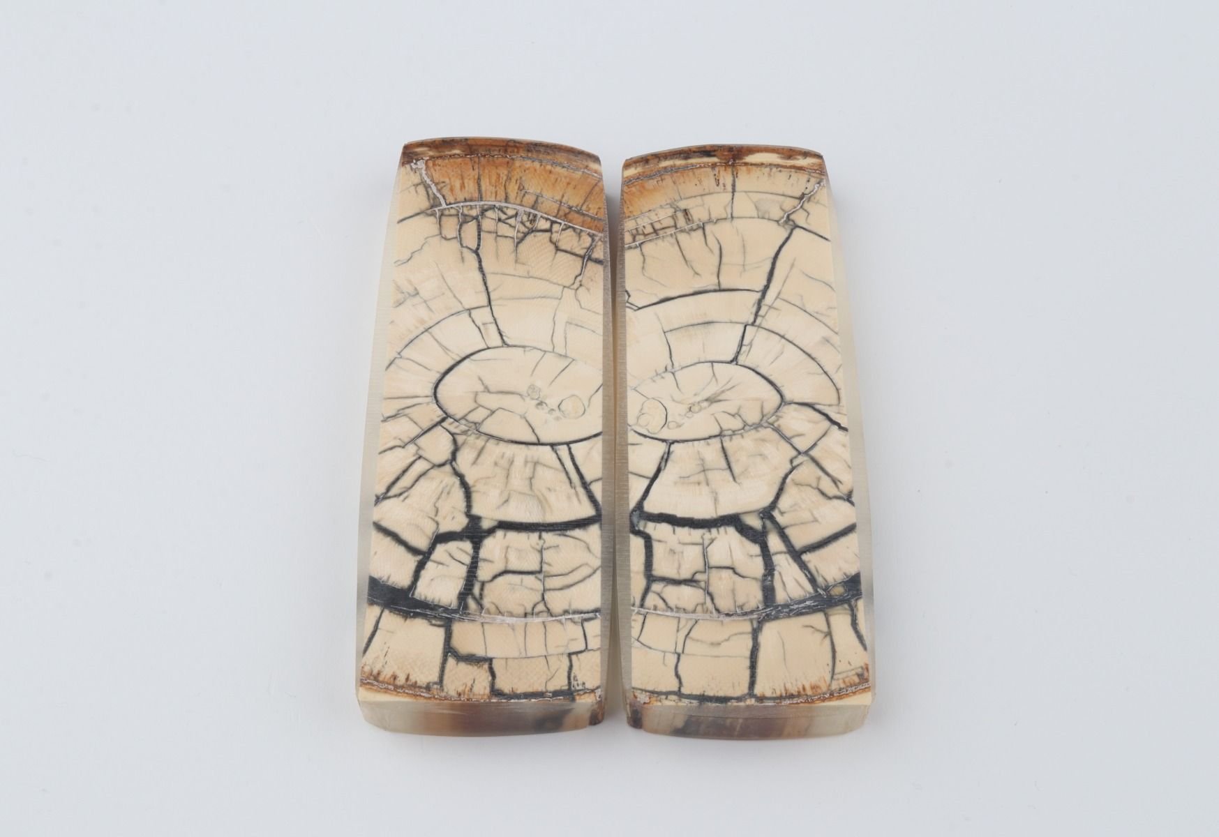 Stabilised mammoth ivory scales