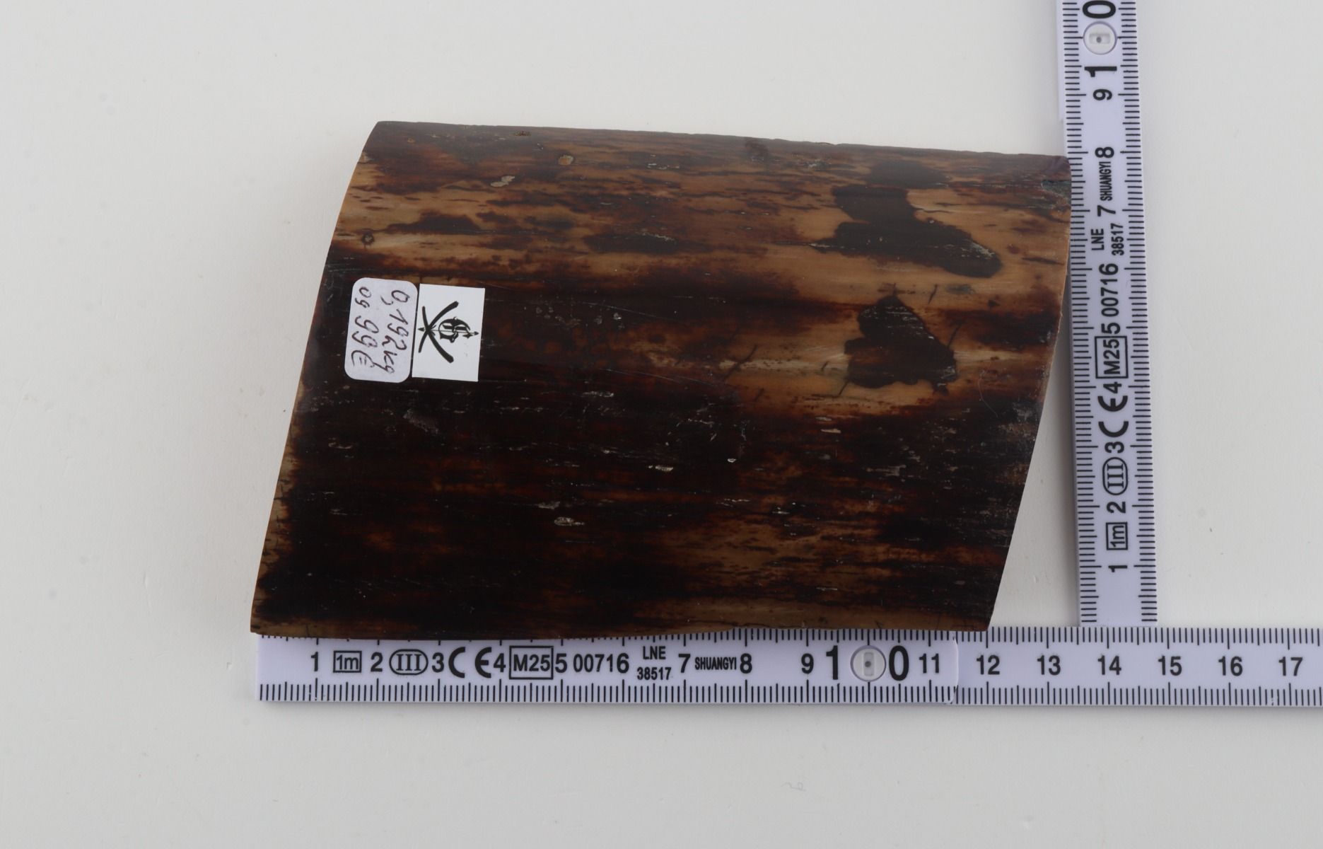 Brown mammoth bark