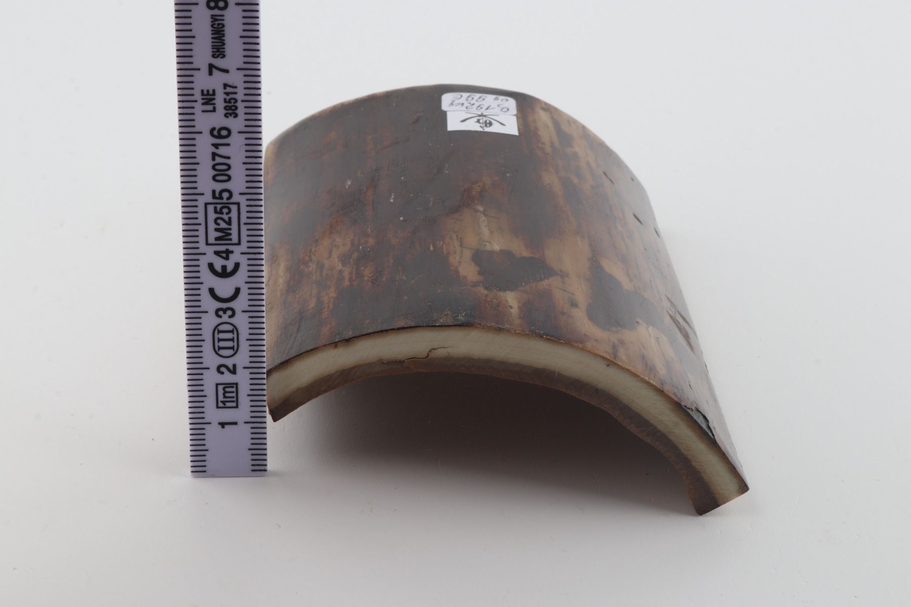 Brown mammoth bark