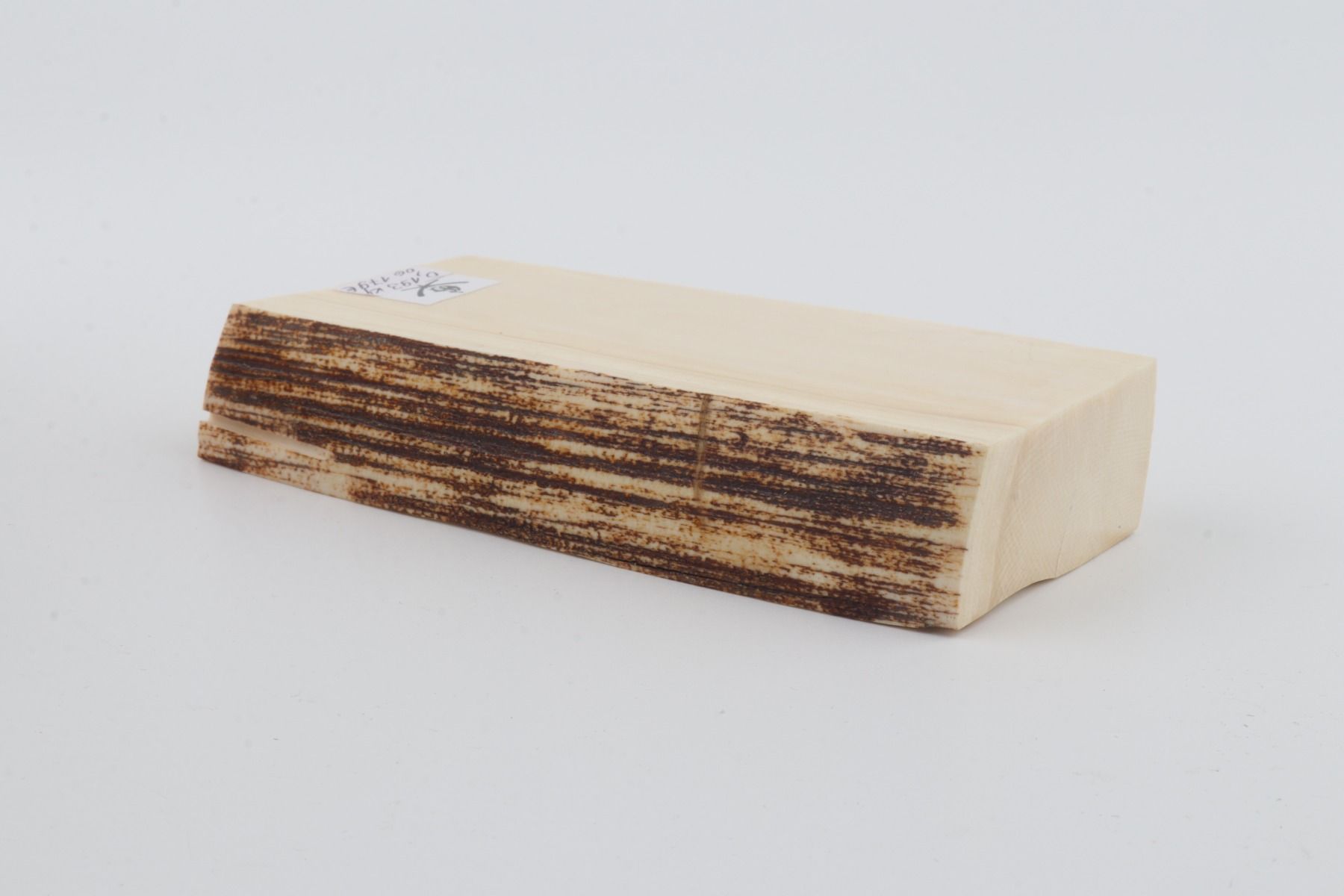 White mammoth ivory segment