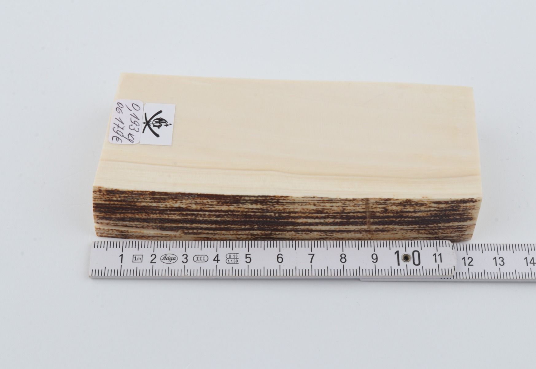 White mammoth ivory segment