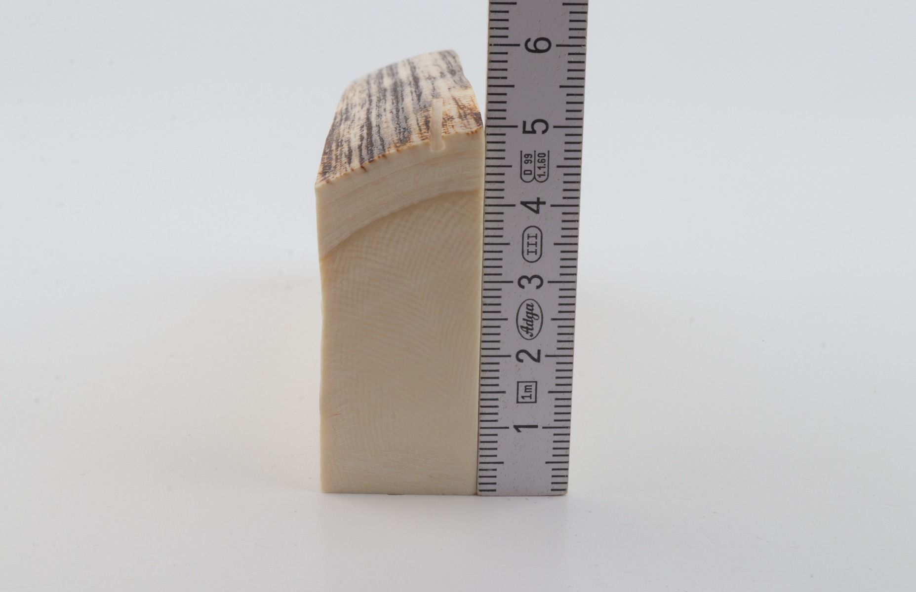 White mammoth ivory segment