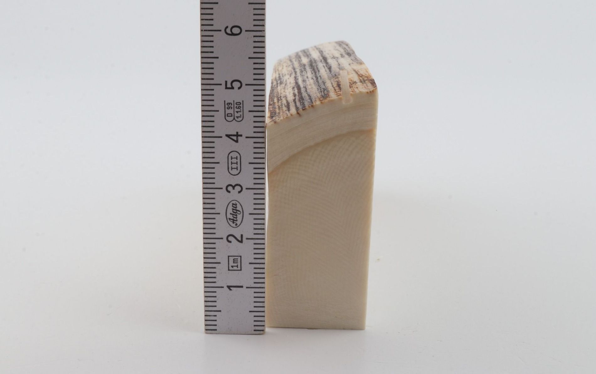 White mammoth ivory segment