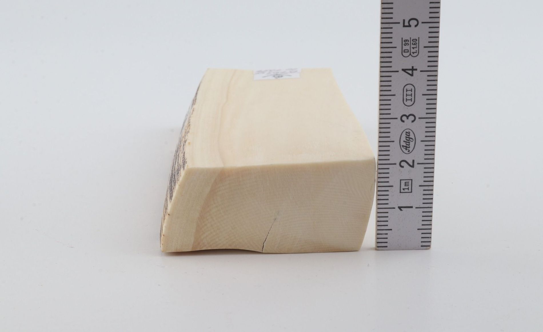 White mammoth ivory segment