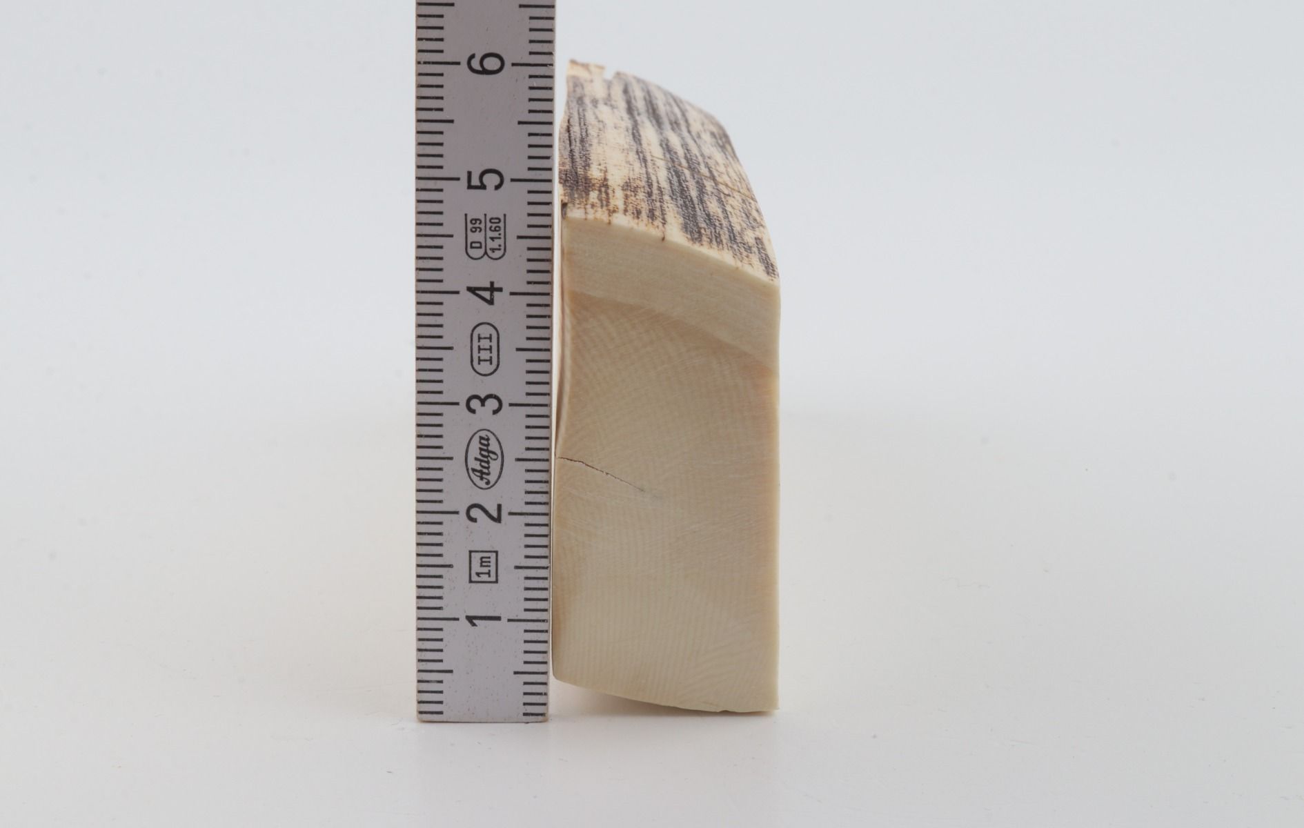 White mammoth ivory segment