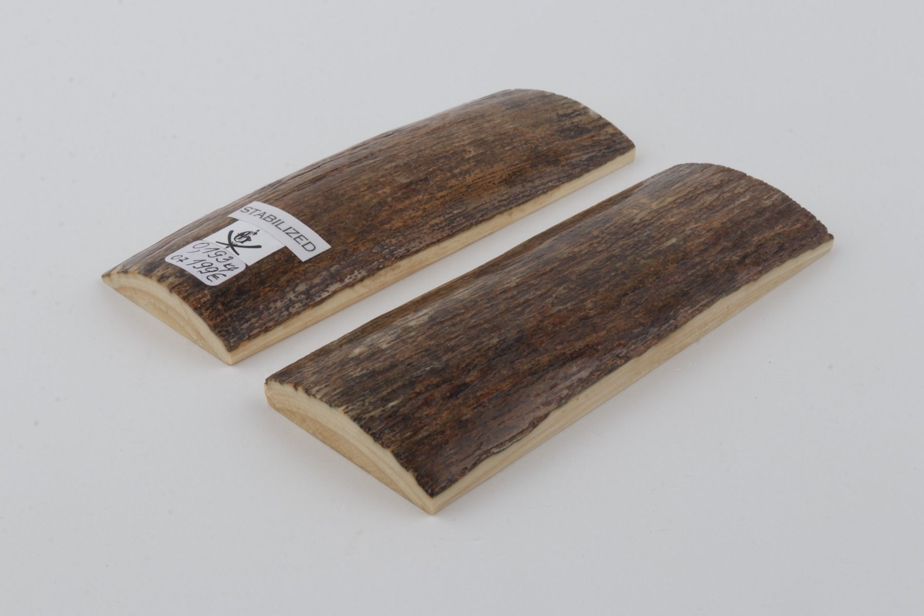 Stabilized mammoth bark scales