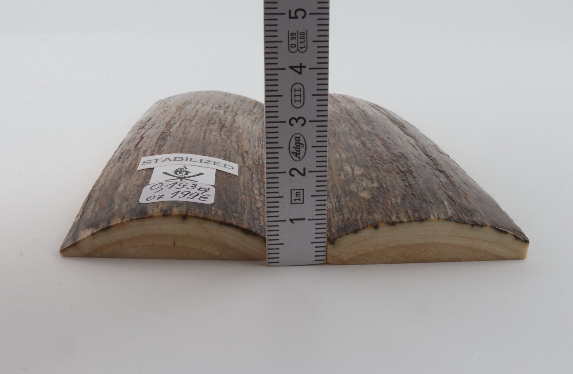 Stabilized mammoth bark scales