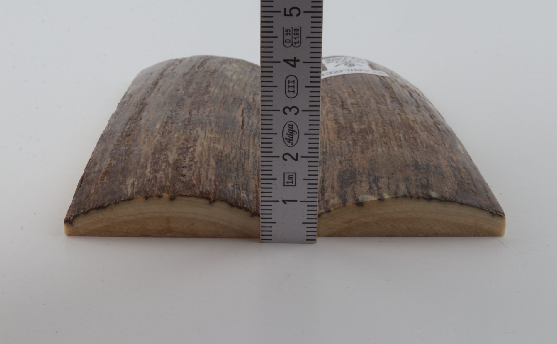 Stabilized mammoth bark scales
