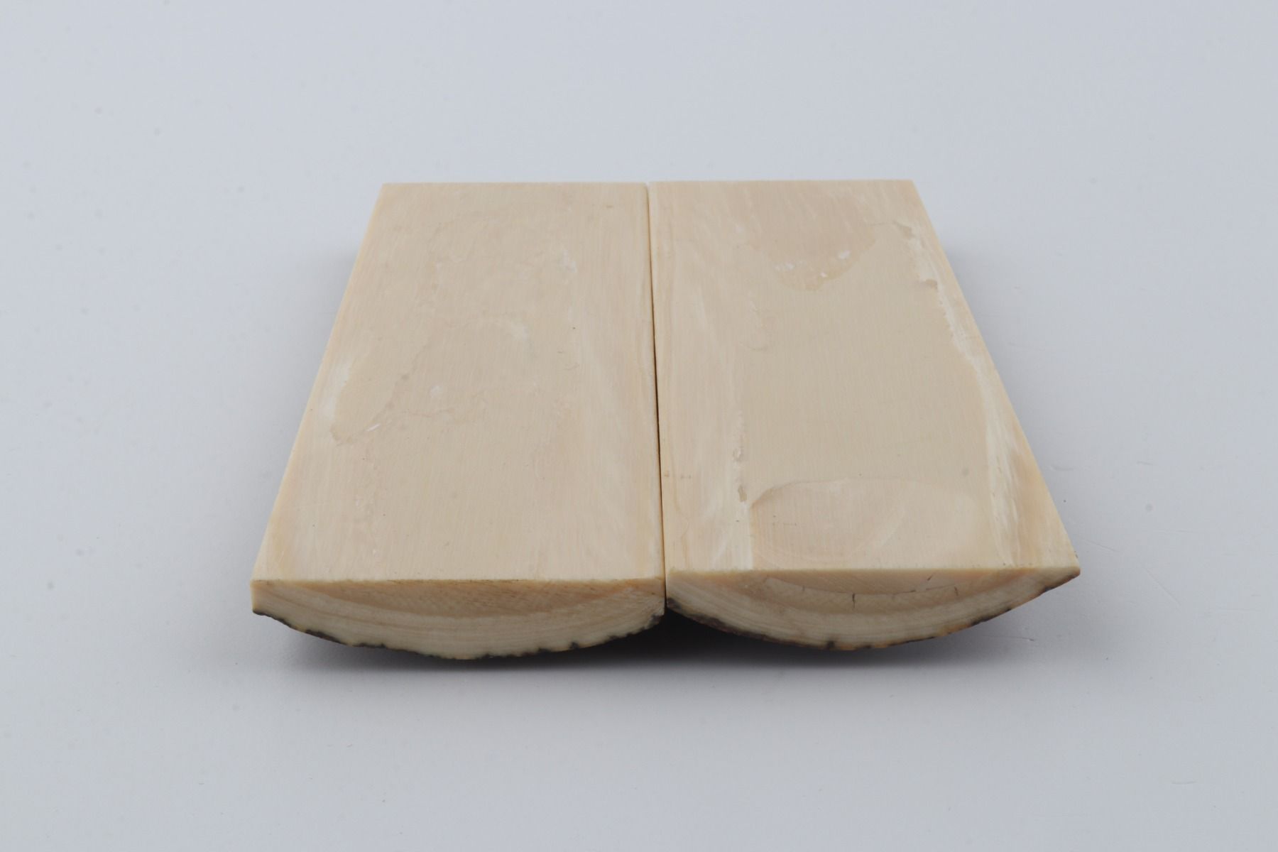Stabilized mammoth bark scales