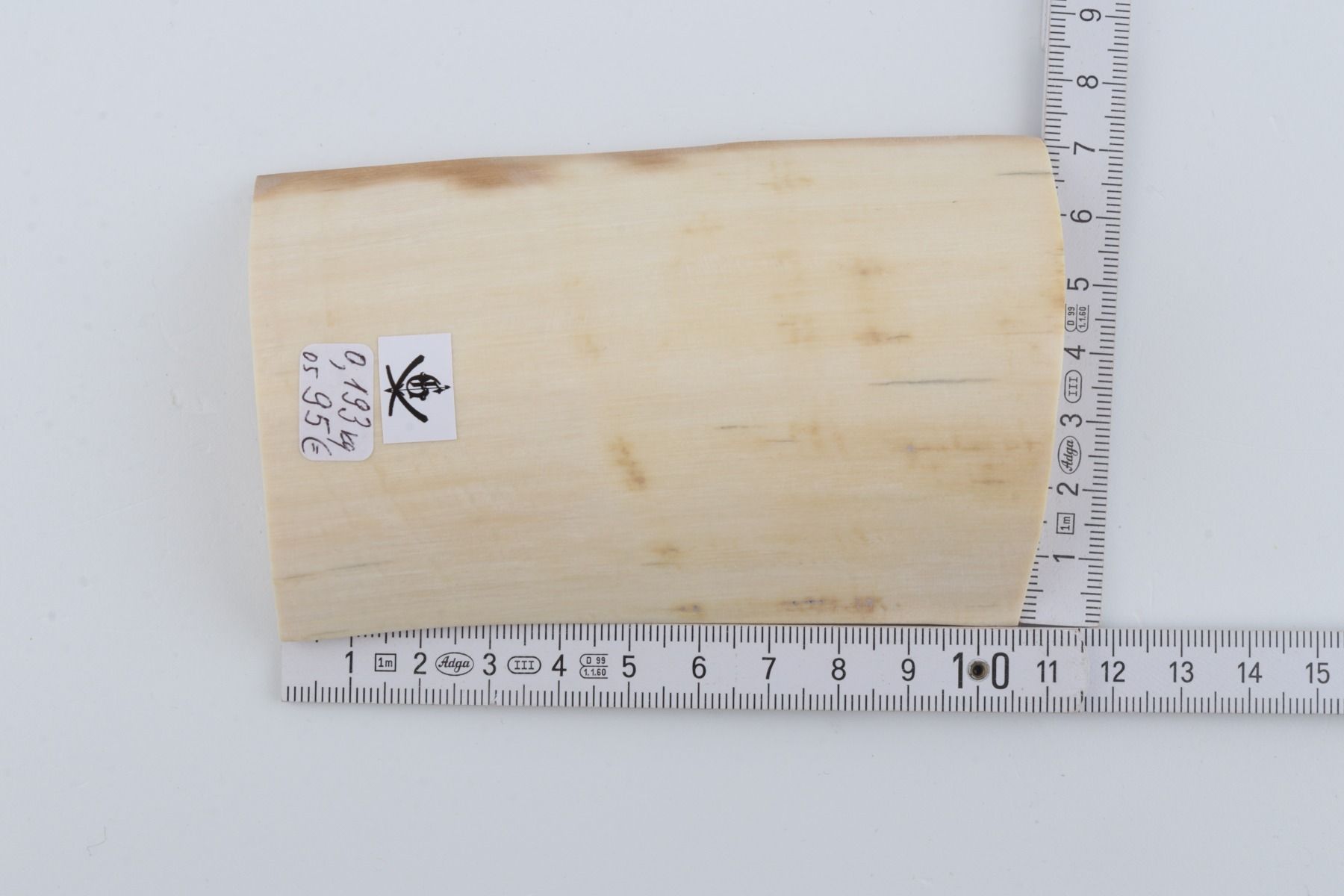 White mammoth ivory piece