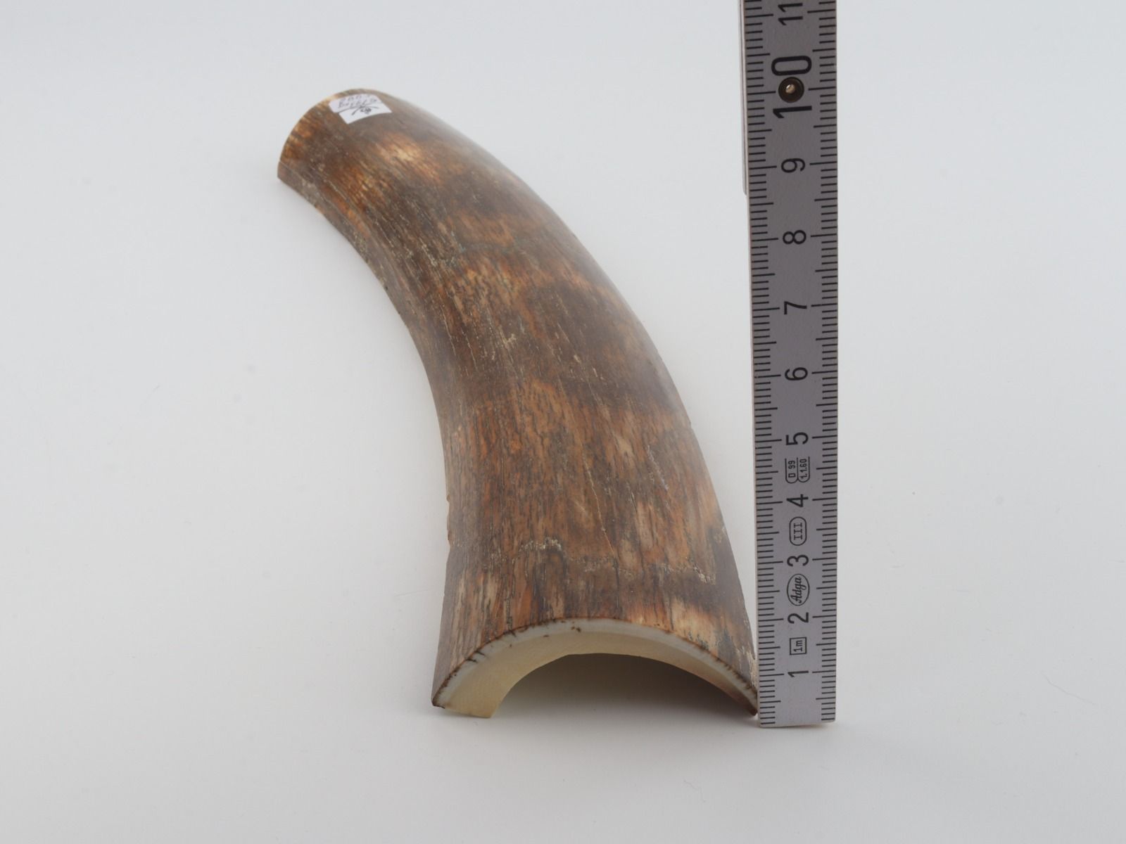 Brown-green mammoth bark