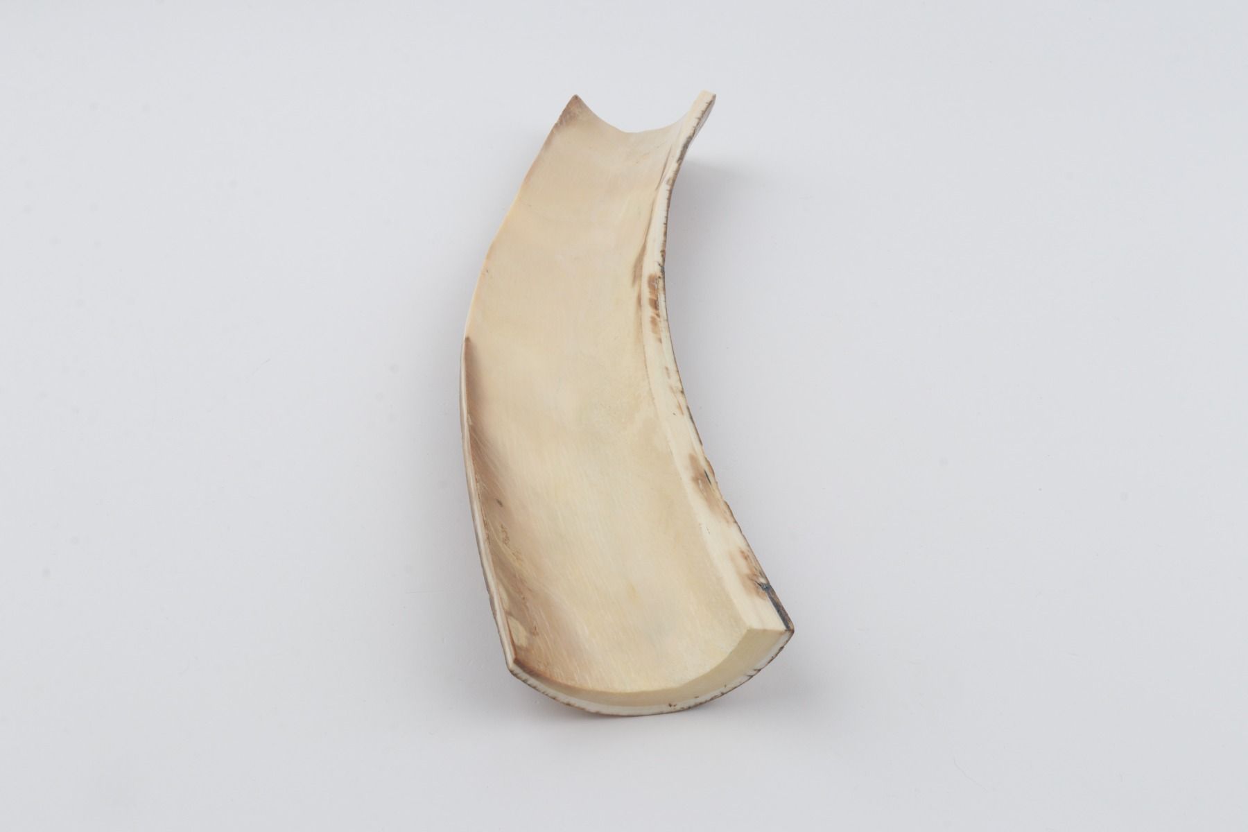 Brown-green mammoth bark