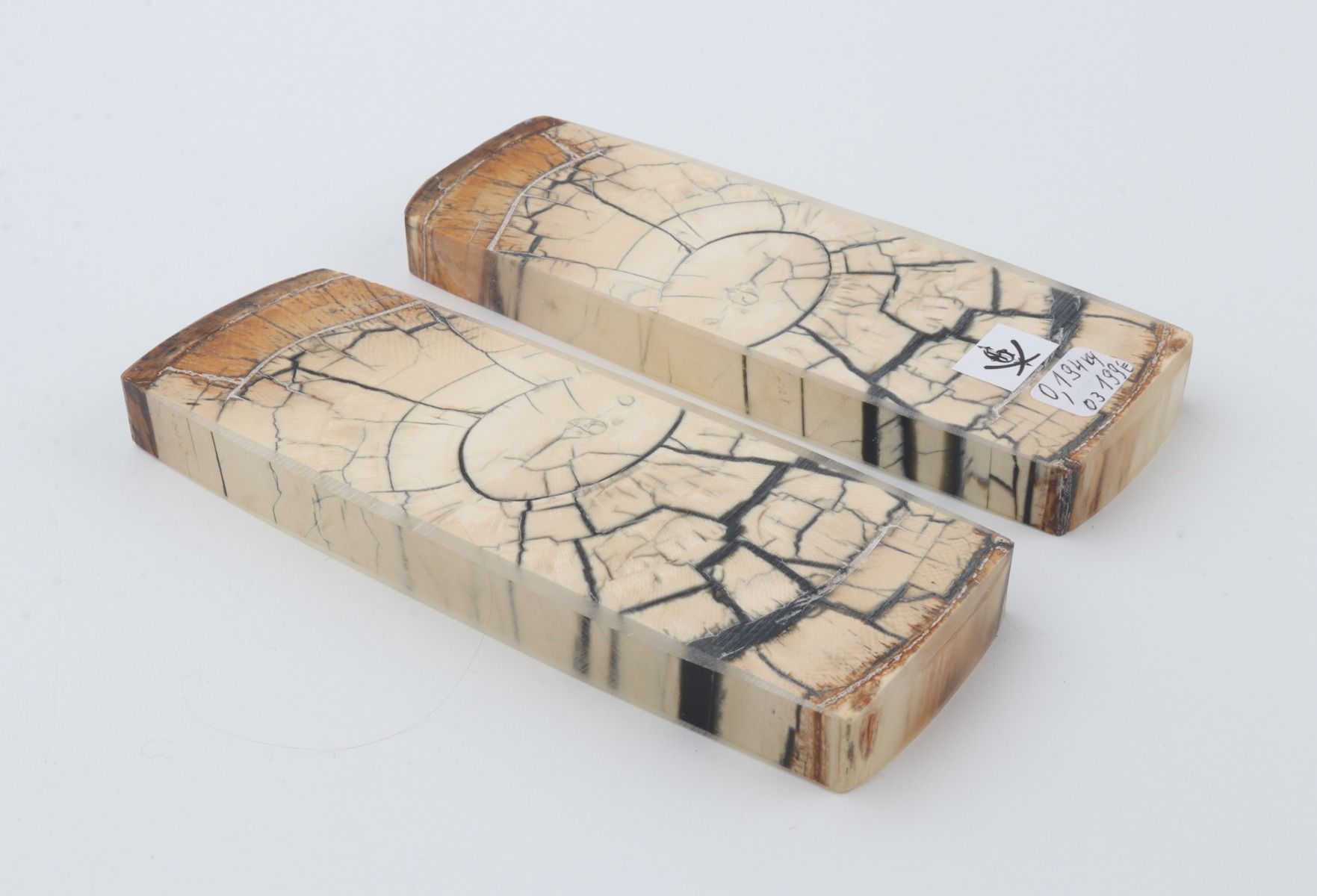 Stabilized mammoth ivory scales