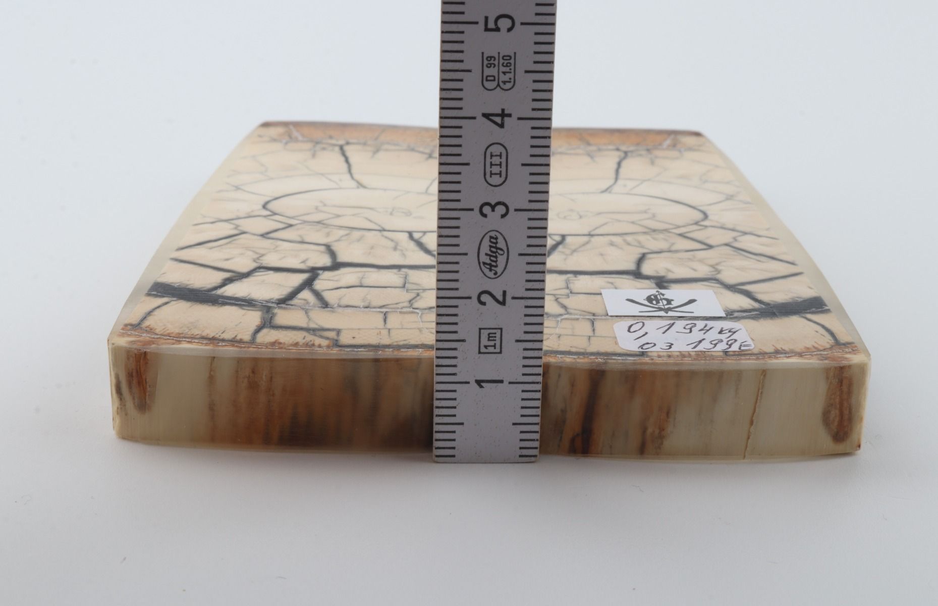 Stabilized mammoth ivory scales