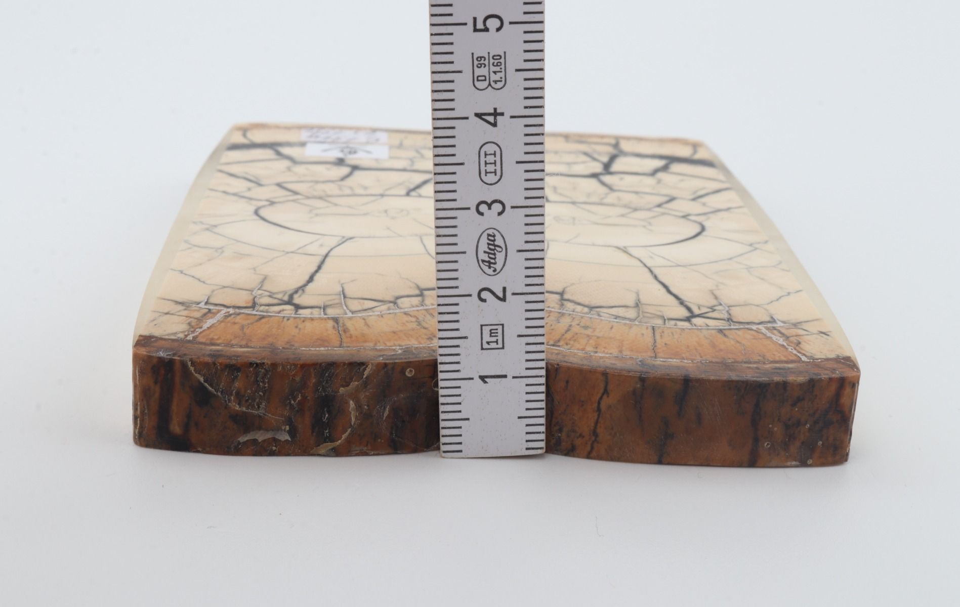 Stabilized mammoth ivory scales