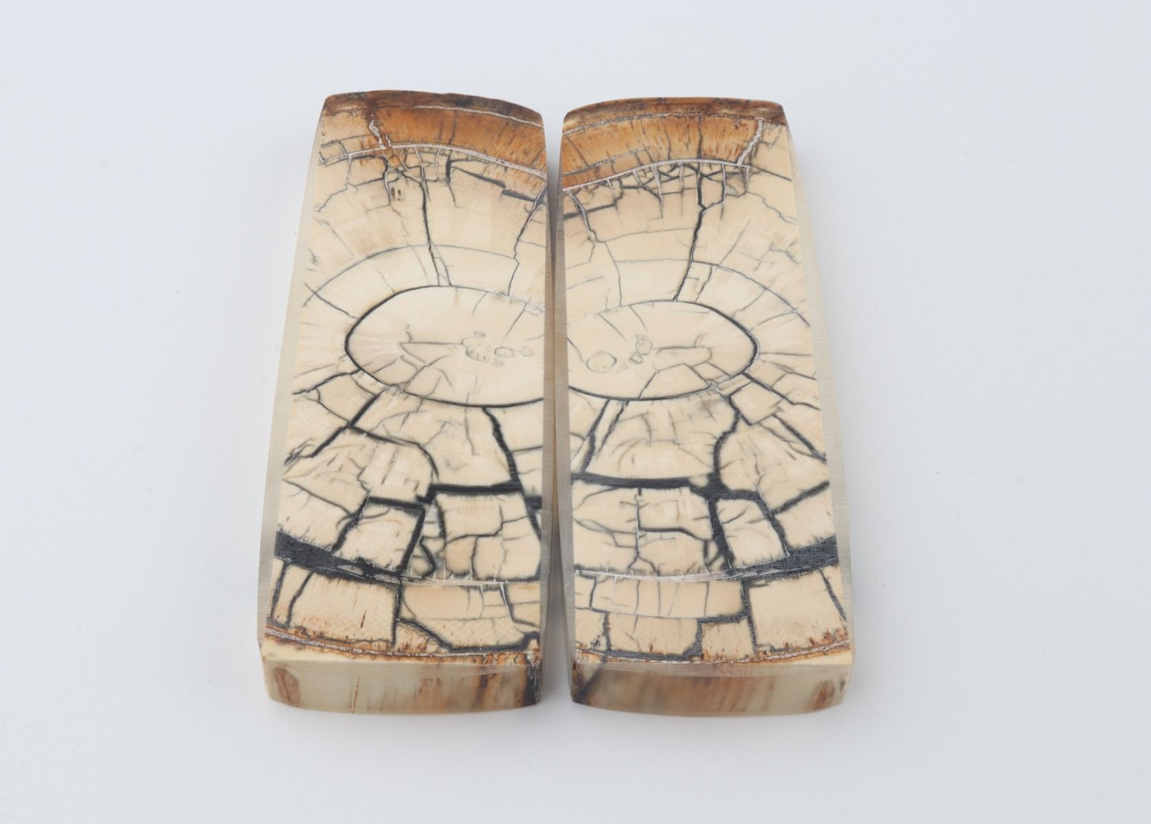 Stabilized mammoth ivory scales
