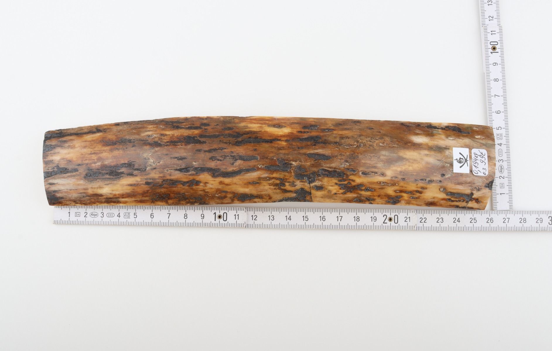 Brown-mustard mammoth bark