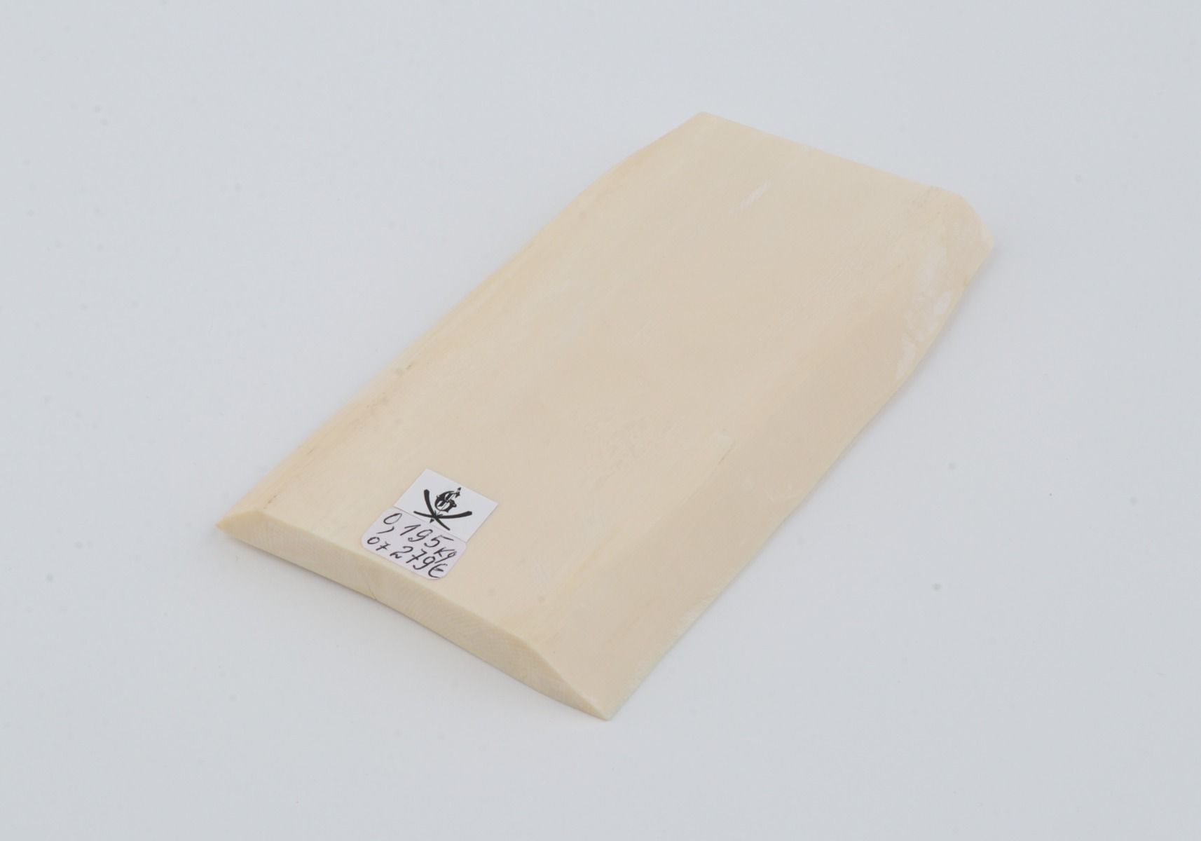 White mammoth ivory segment