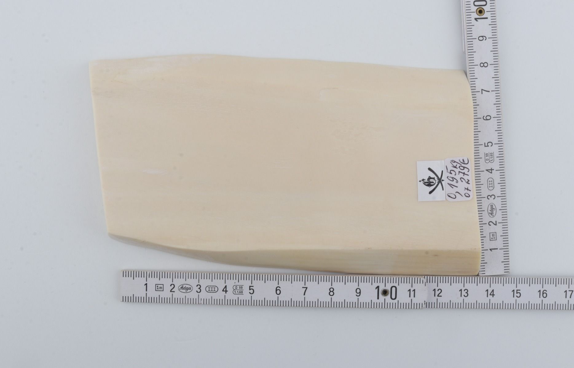 White mammoth ivory segment
