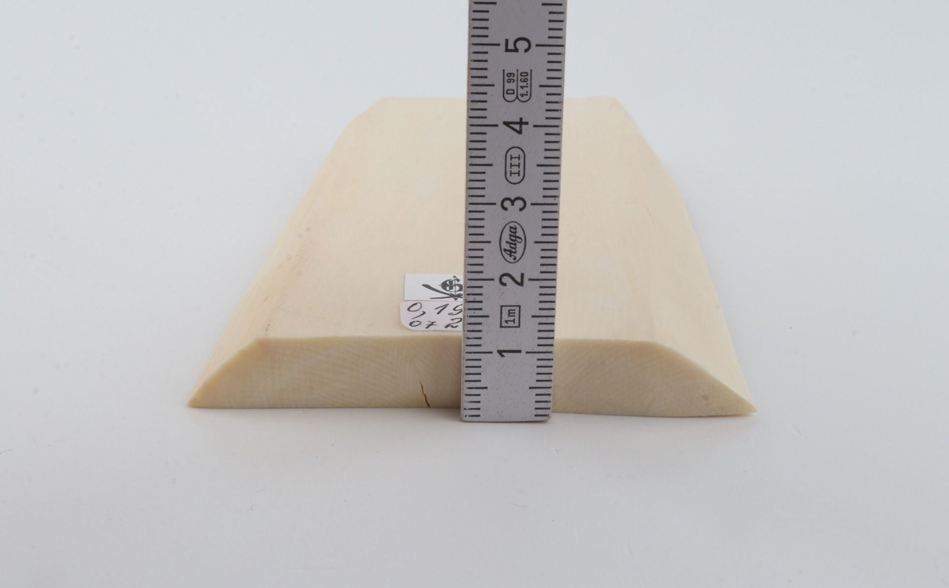 White mammoth ivory segment