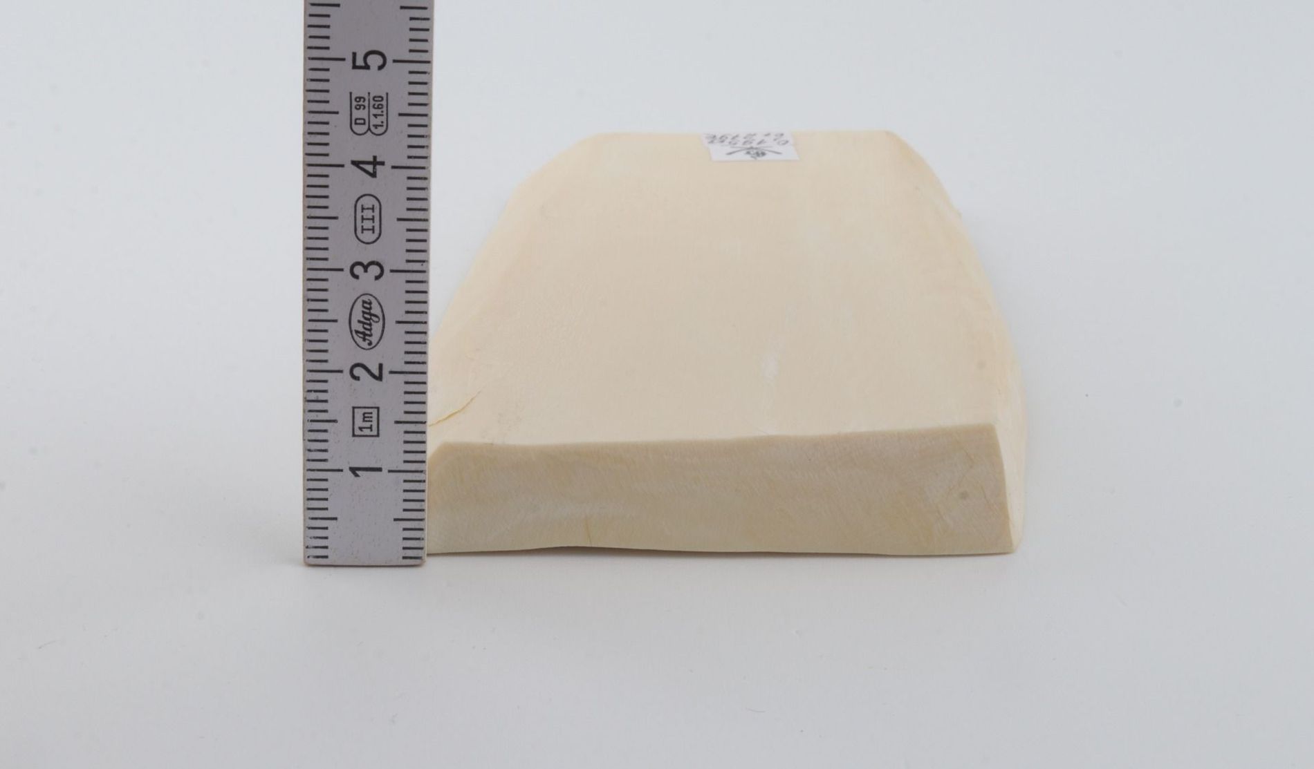 White mammoth ivory segment