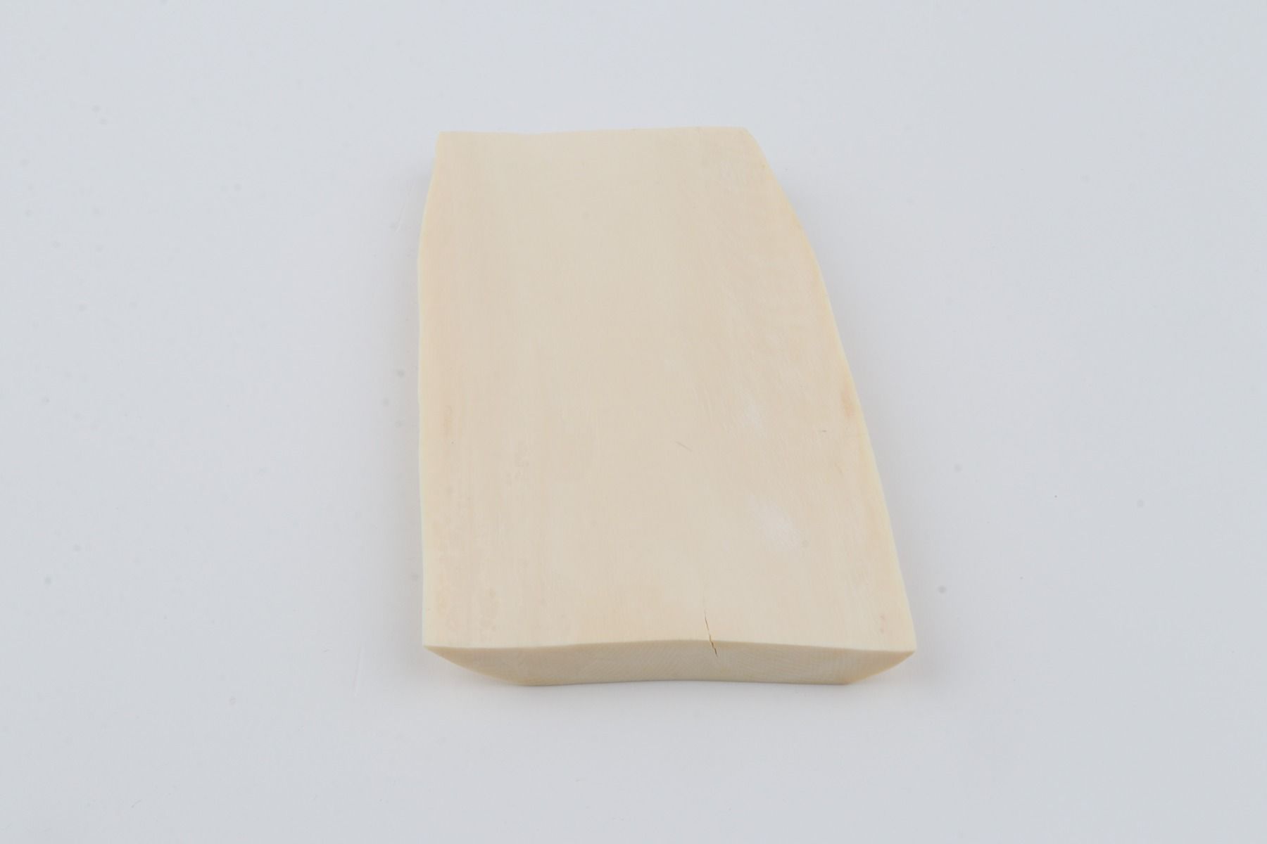 White mammoth ivory segment