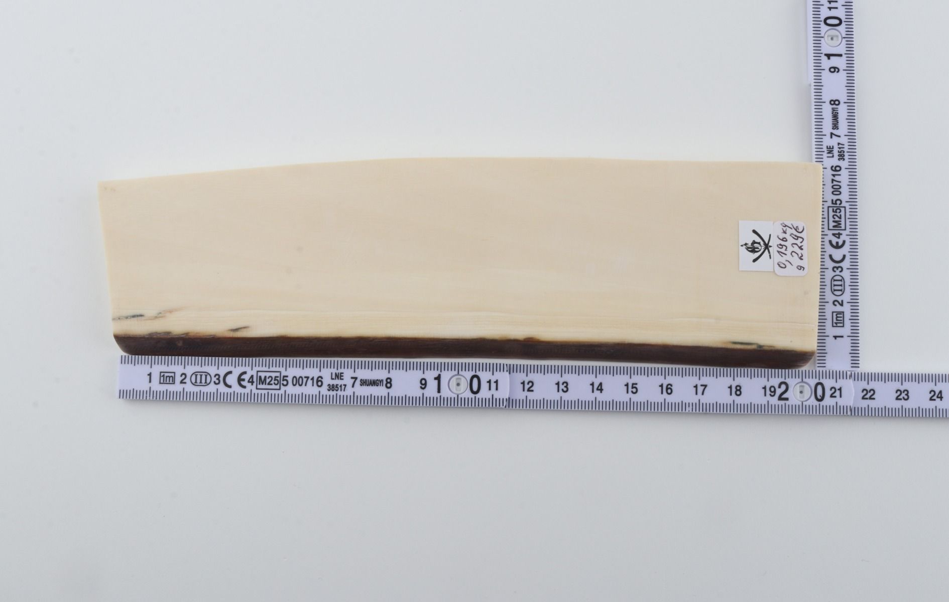 White mammoth ivory segment