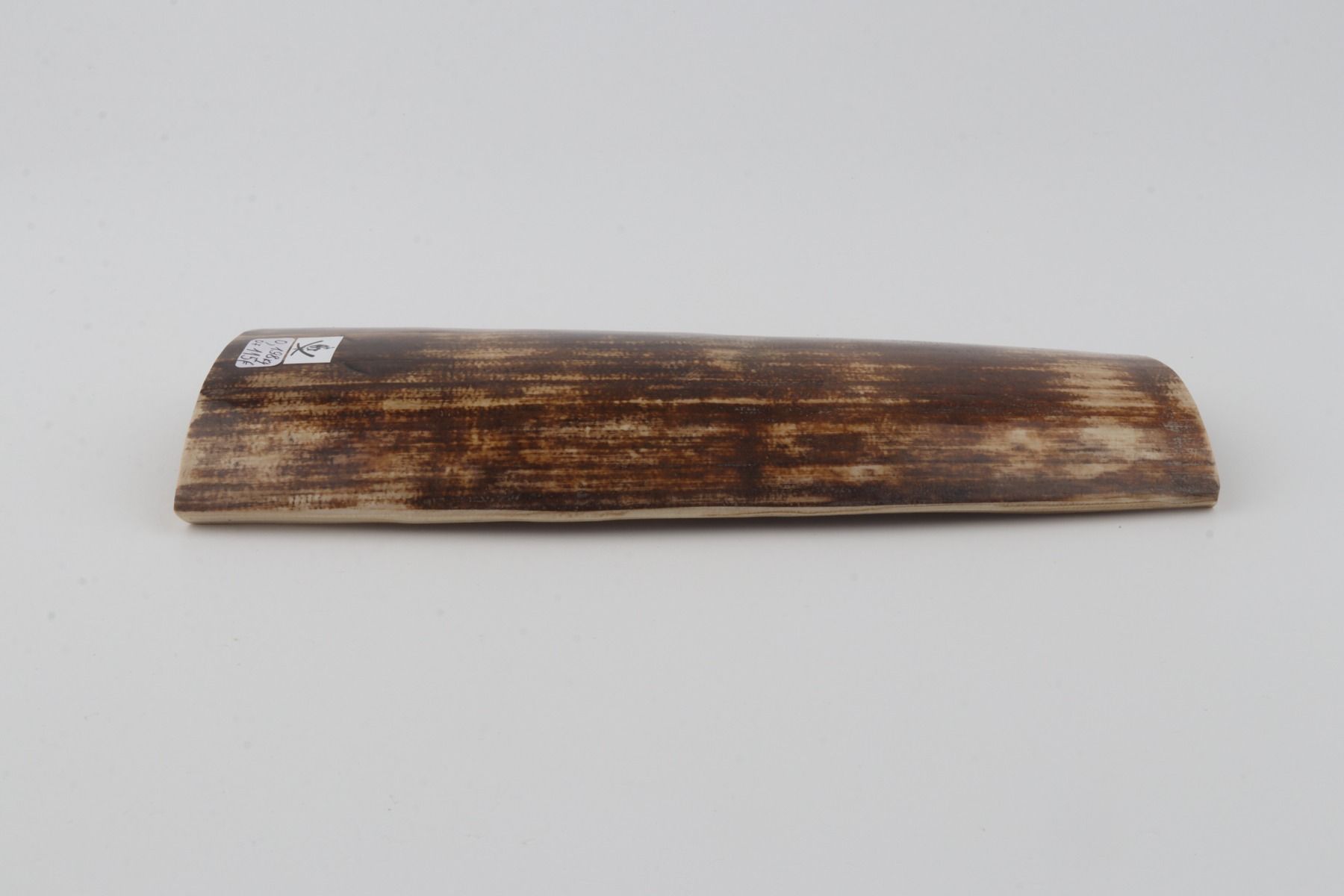 Brown mammoth bark
