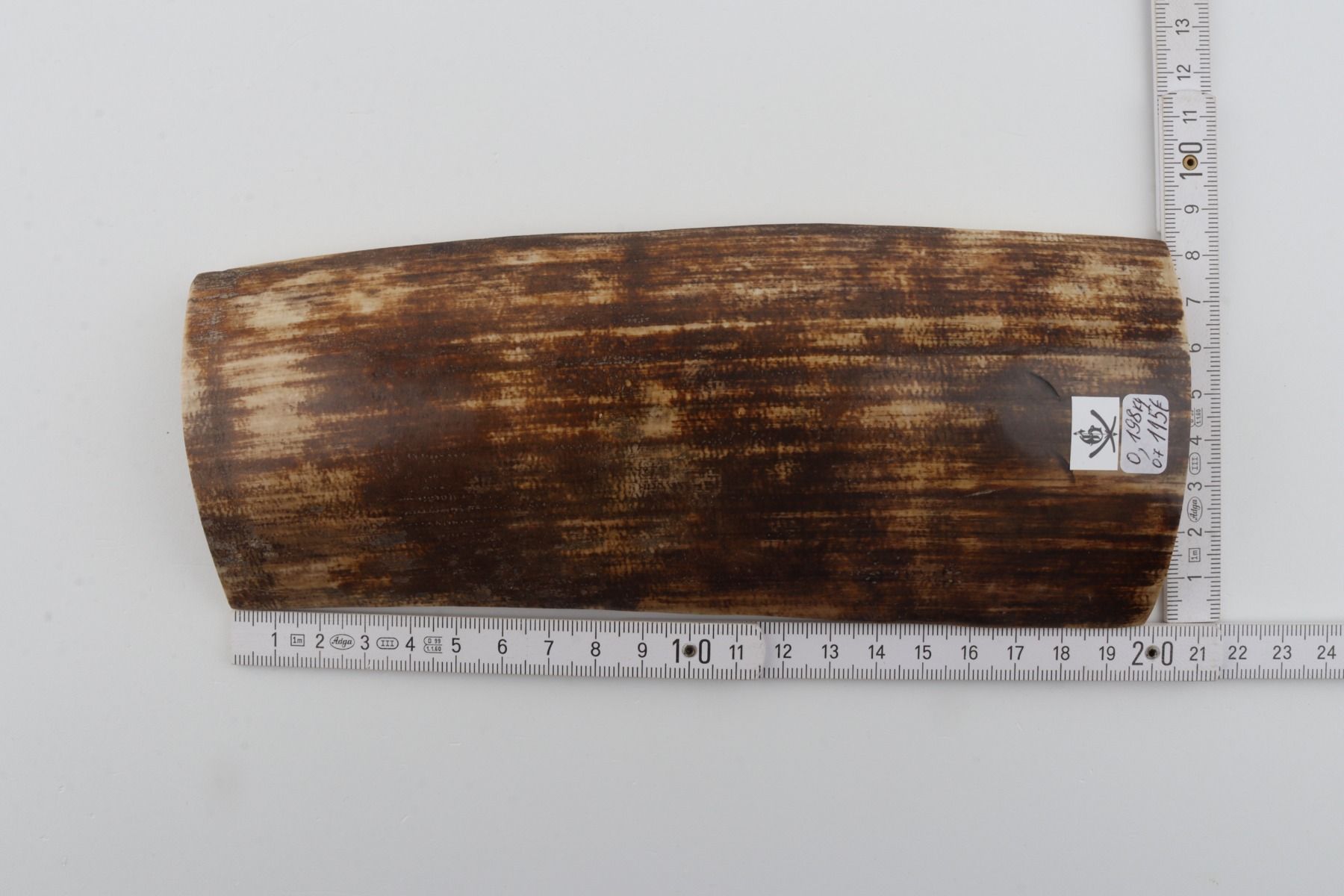 Brown mammoth bark
