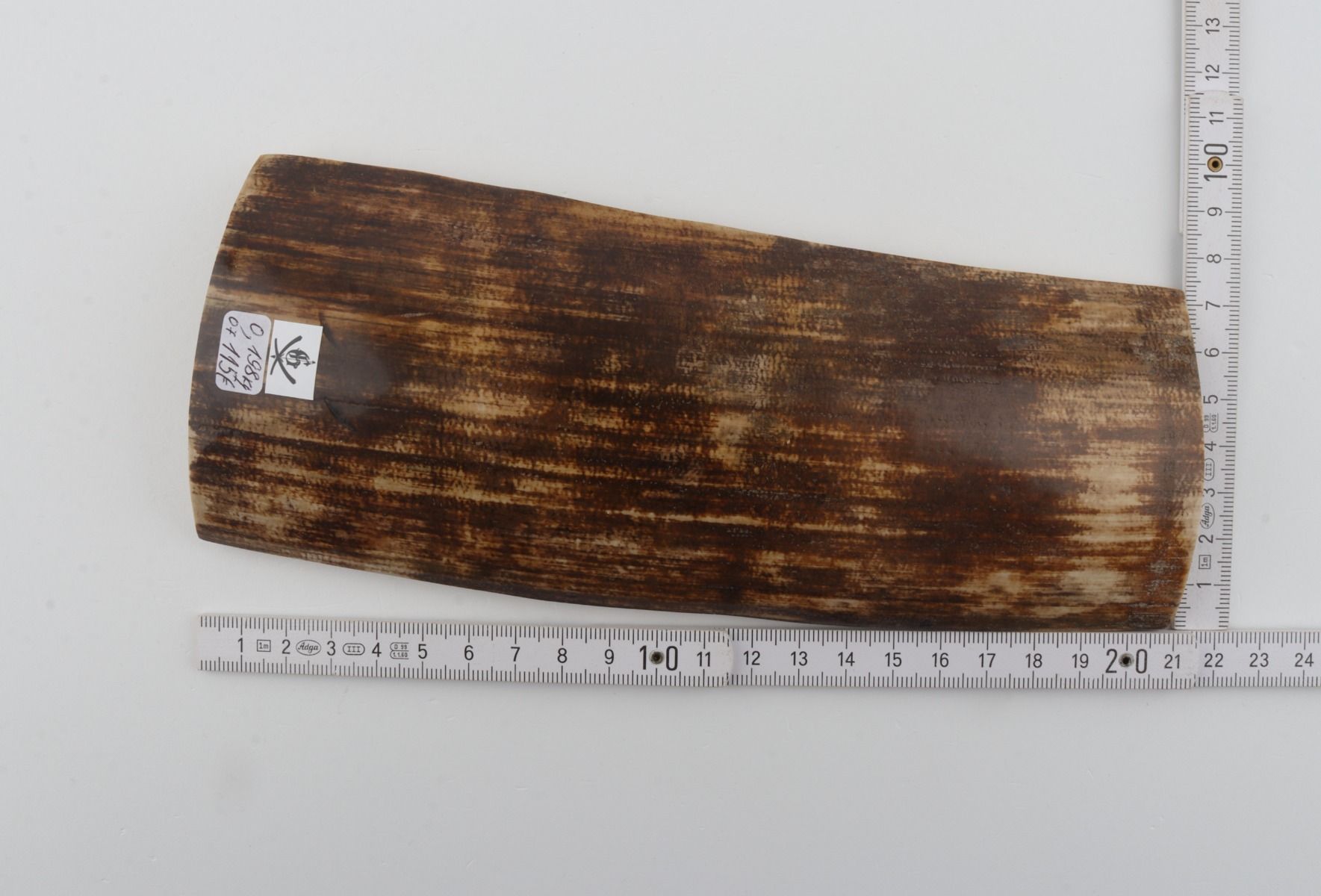 Brown mammoth bark