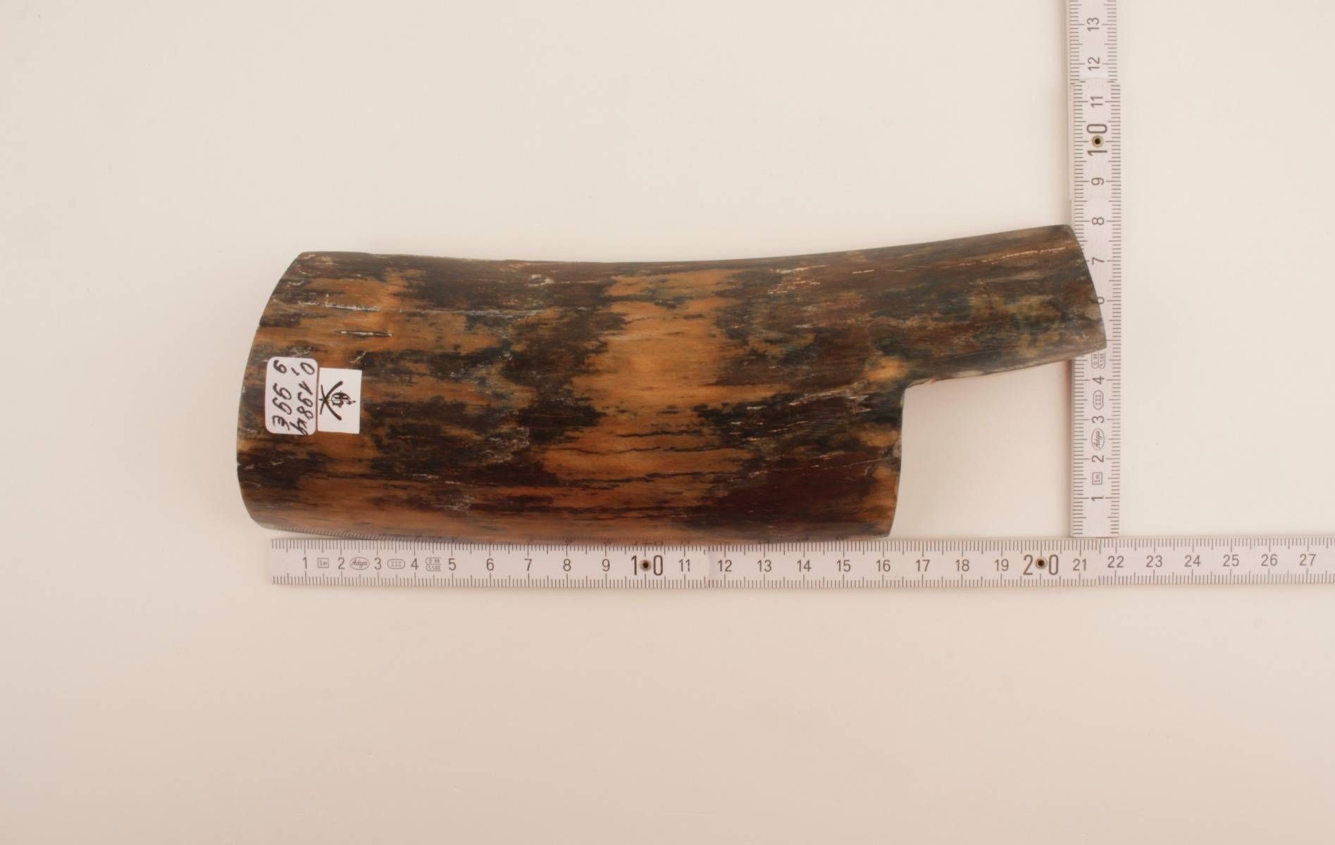 Brown-mustard mammoth bark