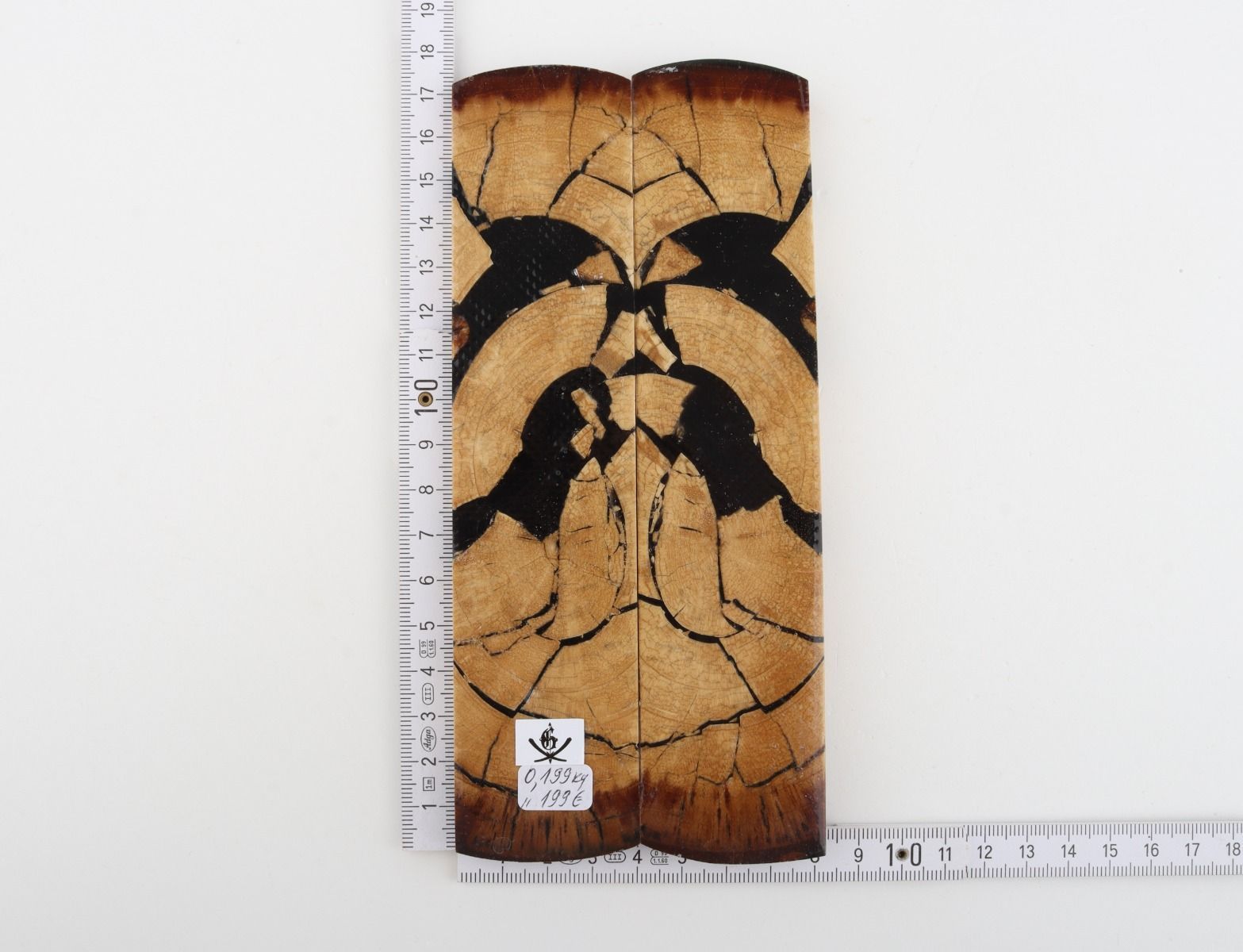 Stabilized mammoth ivory scales