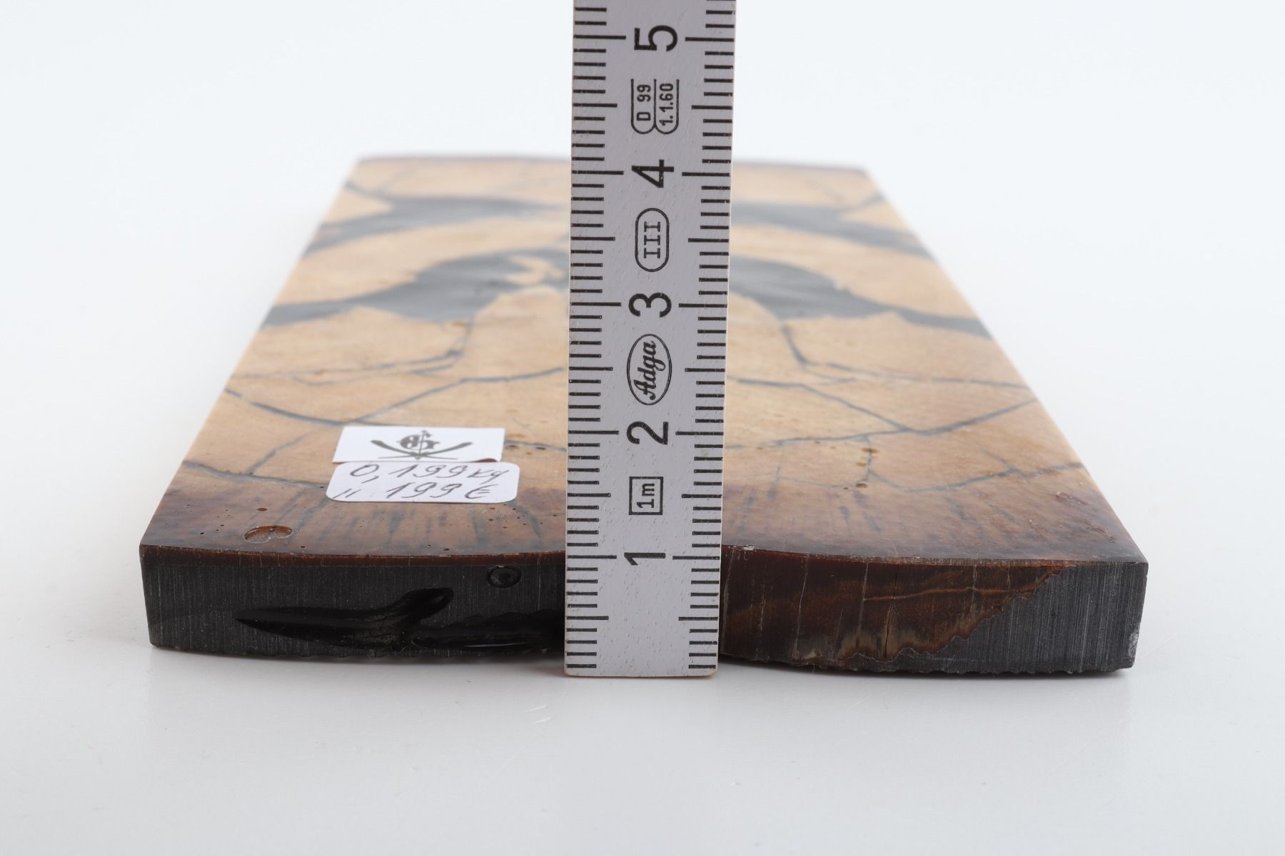 Stabilized mammoth ivory scales