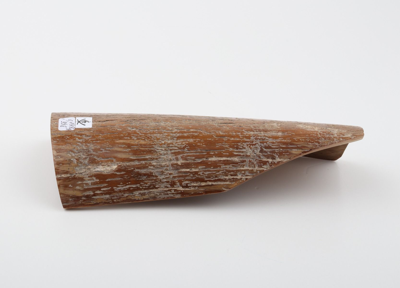 Brown-caramel mammoth bark