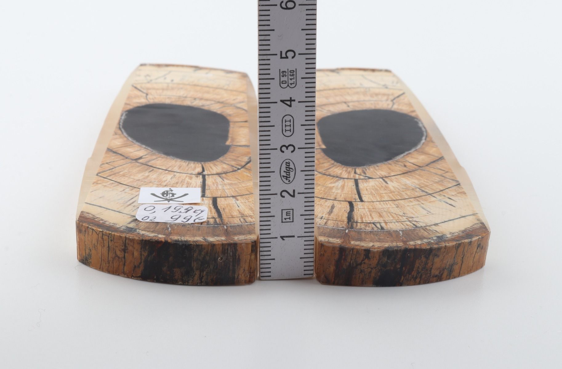 Stabilised mammoth ivory scales