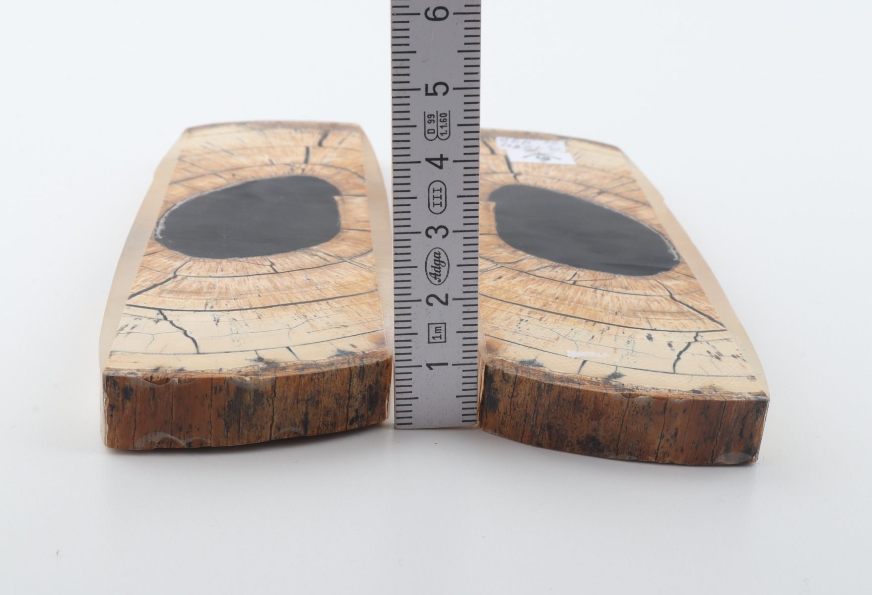 Stabilised mammoth ivory scales