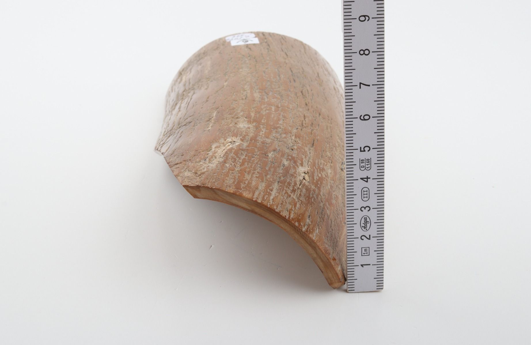 Brown-caramel mammoth bark