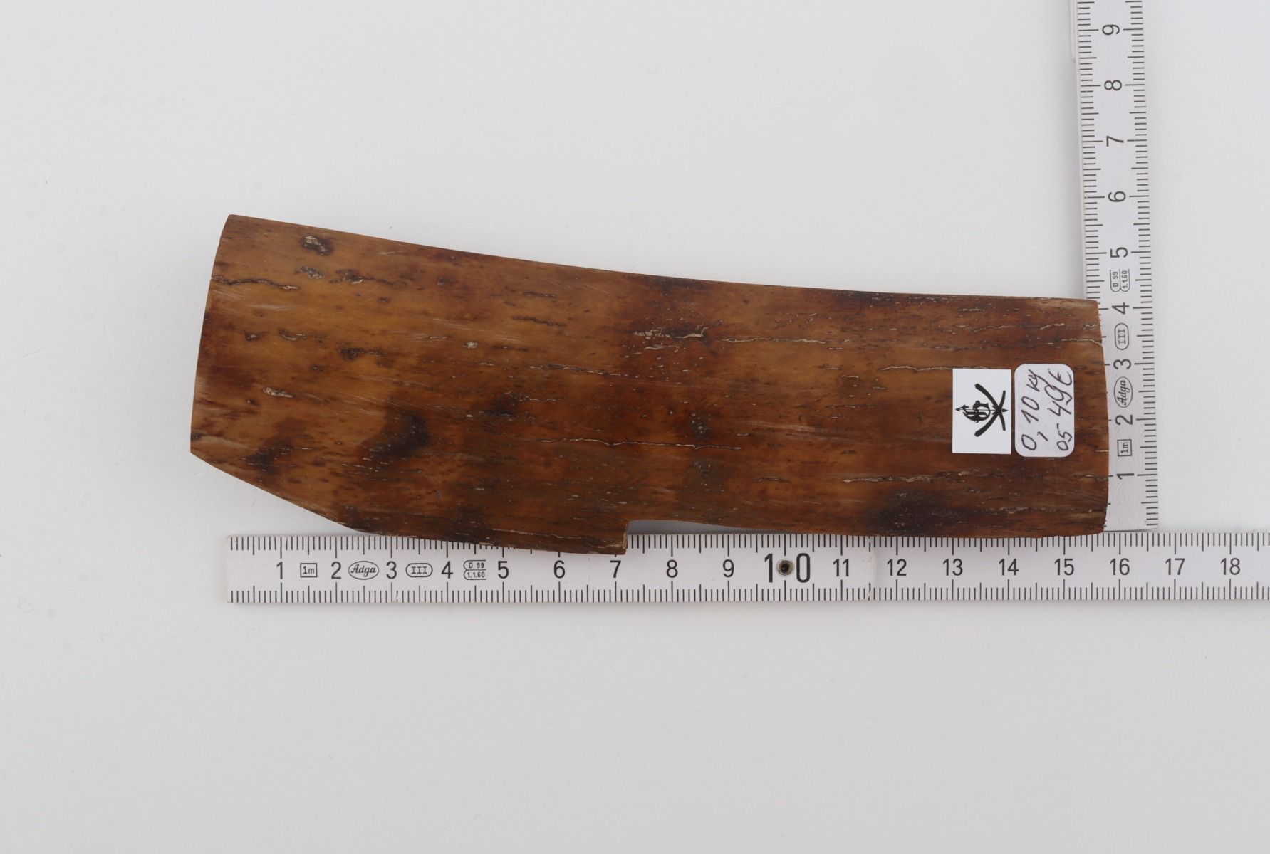Brown-mustard mammoth bark