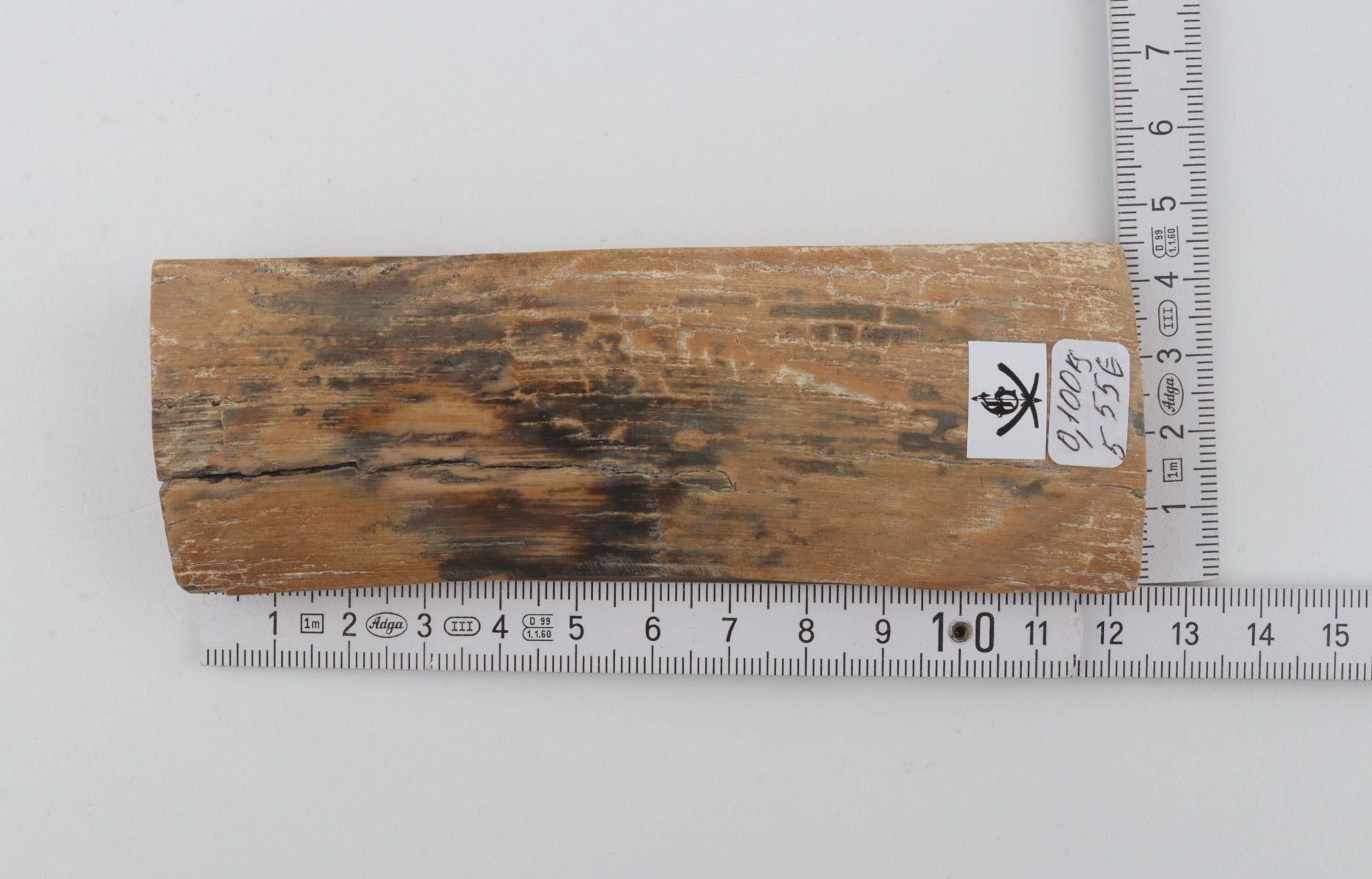 Beige-grey mammoth bark