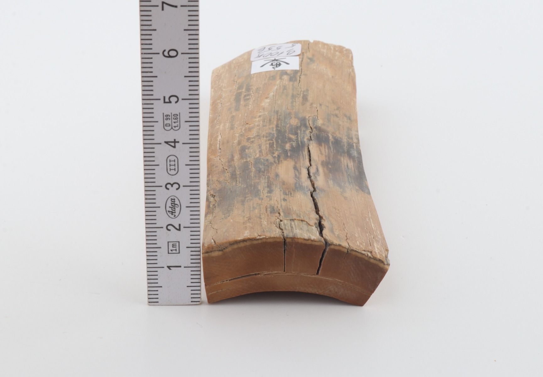 Beige-grey mammoth bark