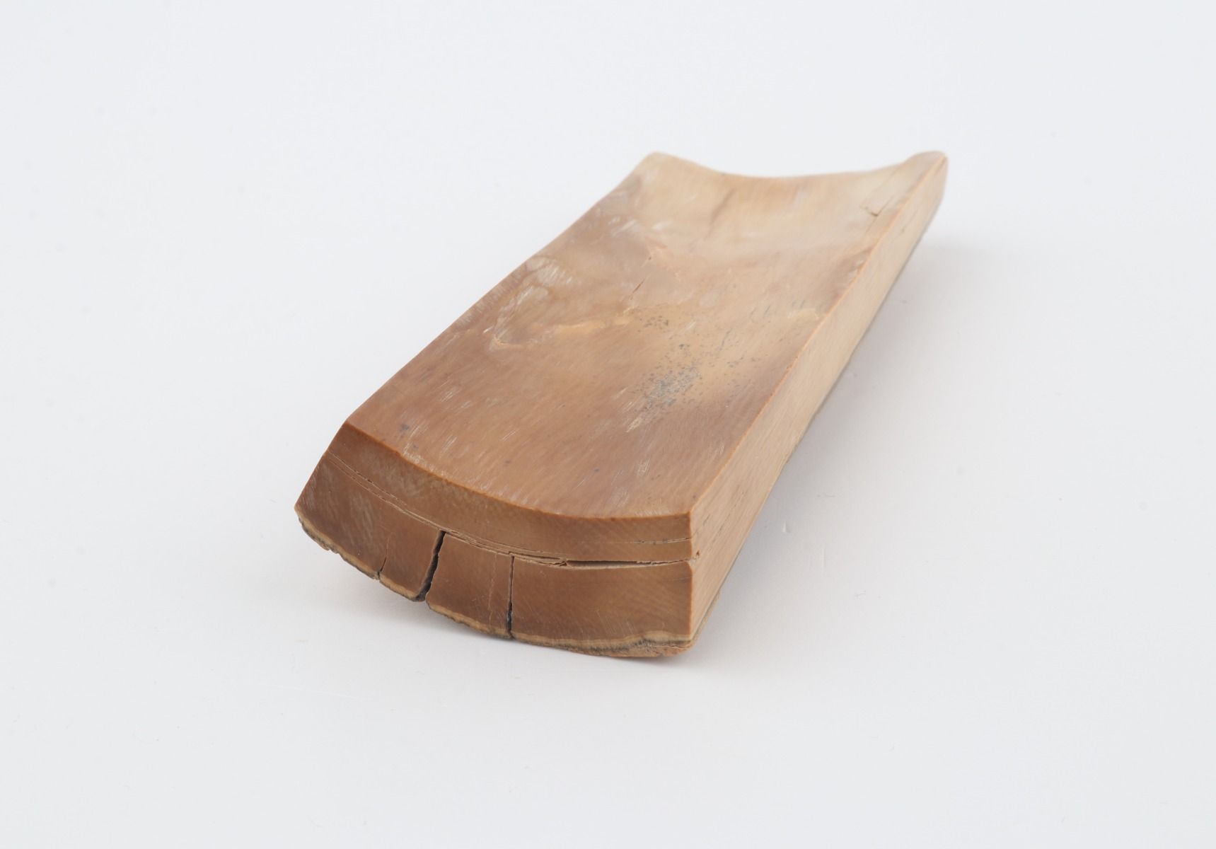 Beige-grey mammoth bark