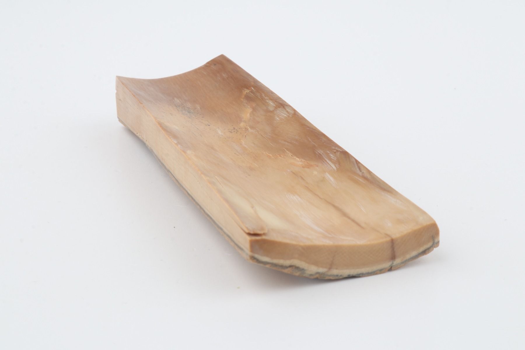 Beige-grey mammoth bark