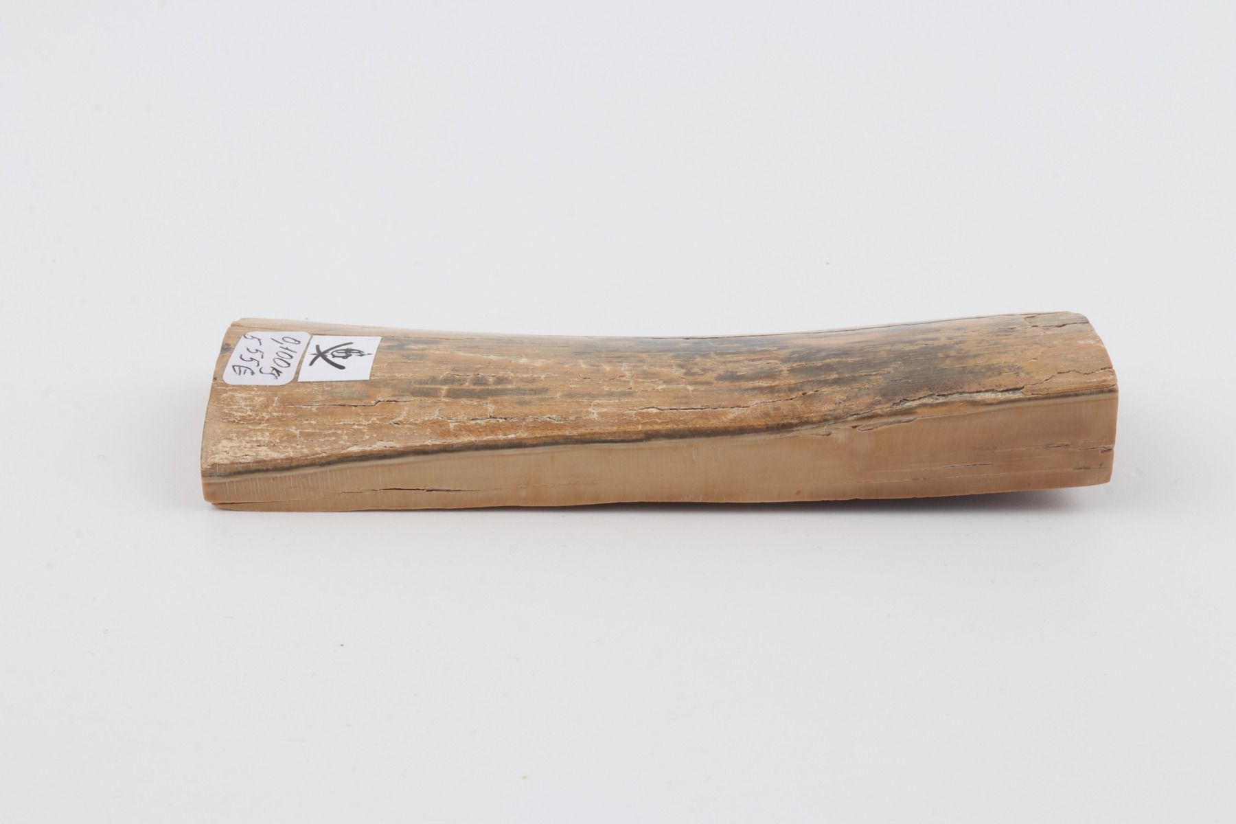 Beige-grey mammoth bark